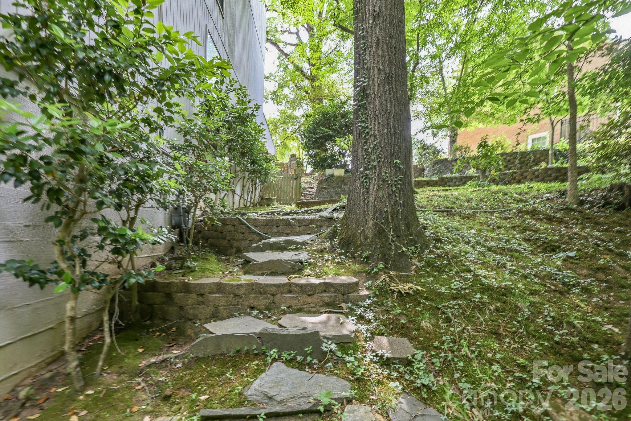3423 Tinkerbell Lane — Charlotte