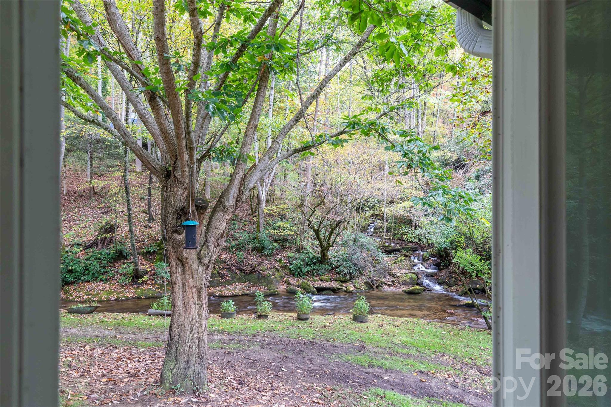 214 Chin Tree Road — Sylva