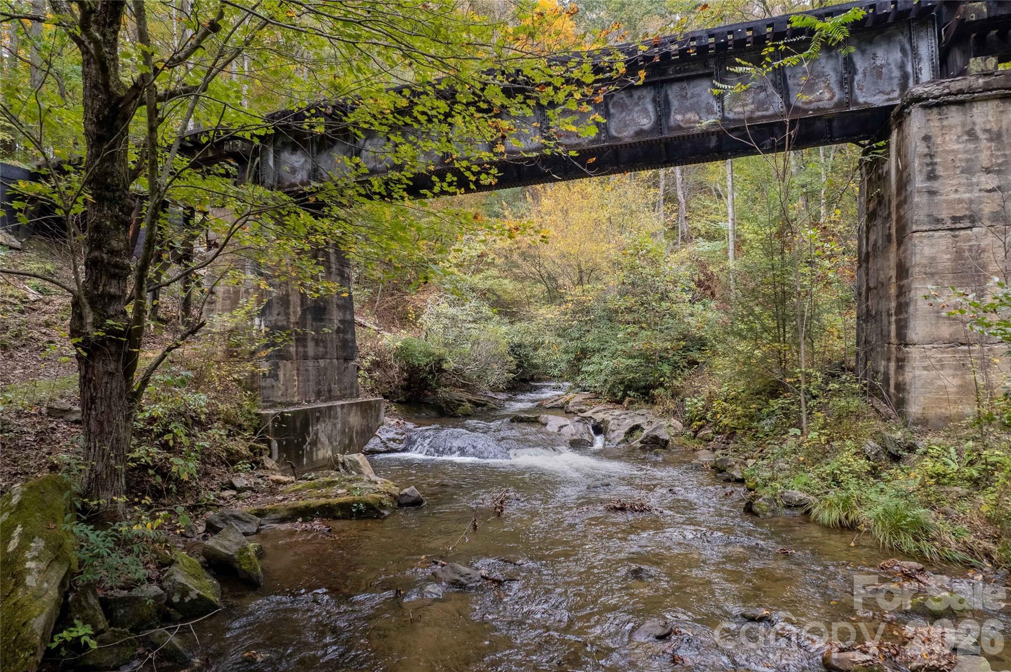 214 Chin Tree Road — Sylva