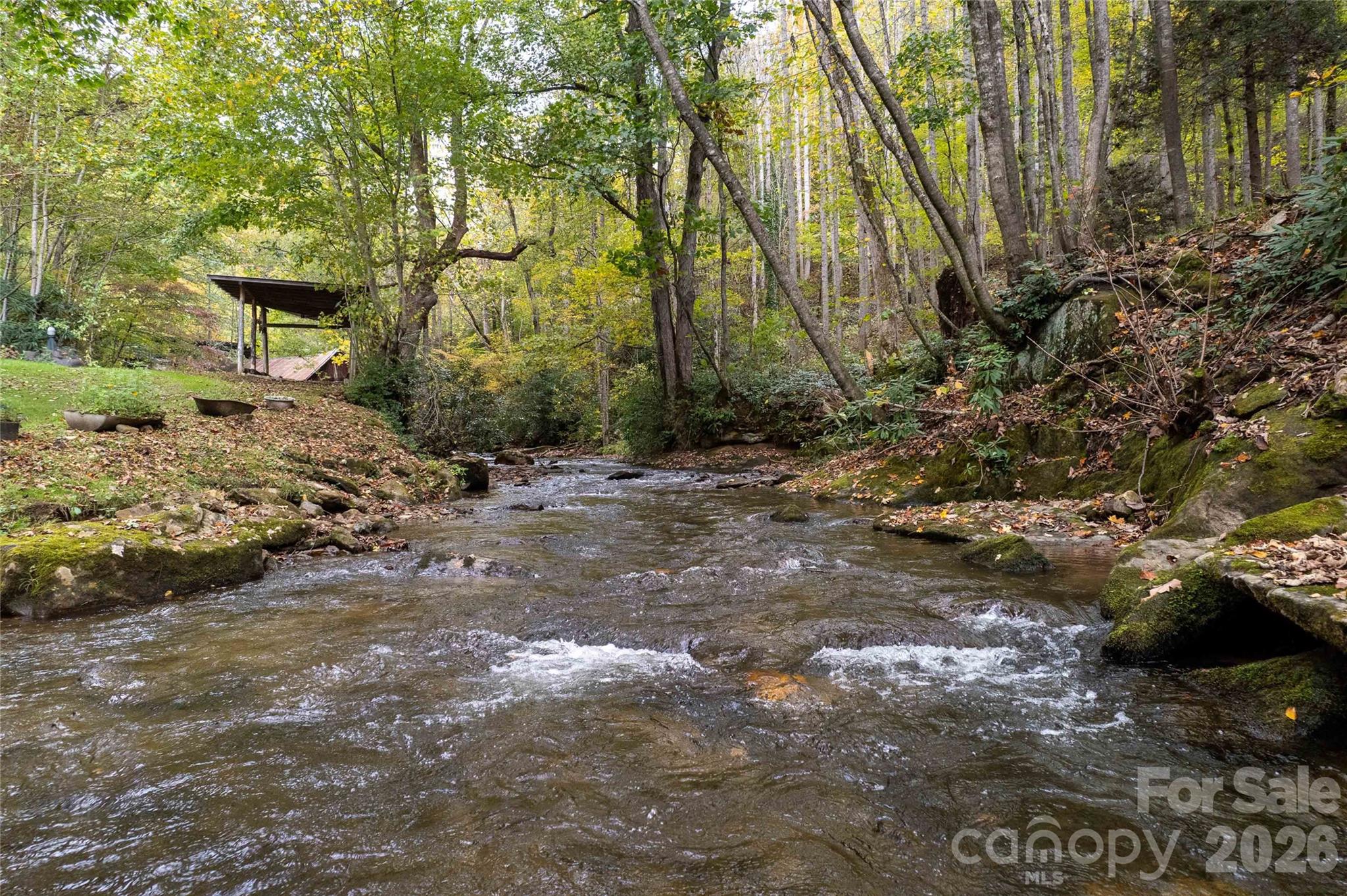 214 Chin Tree Road — Sylva
