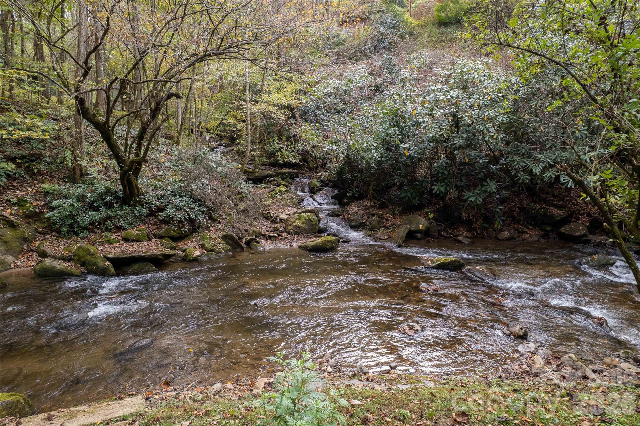 214 Chin Tree Road — Sylva
