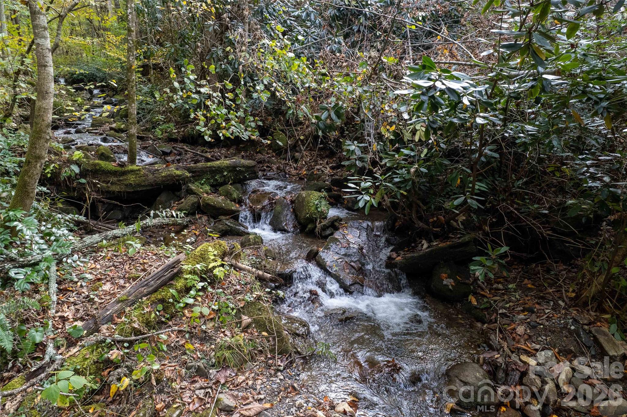214 Chin Tree Road — Sylva