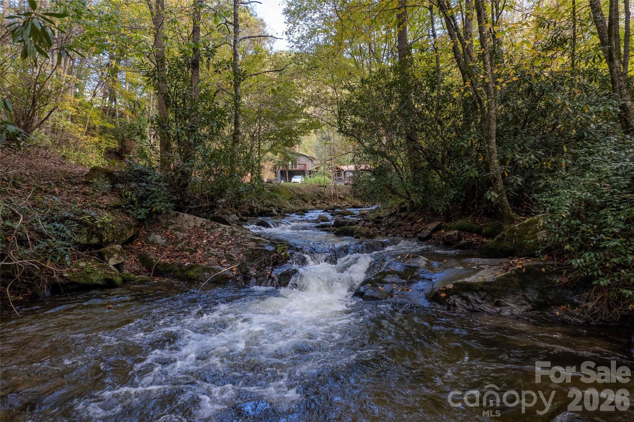 214 Chin Tree Road — Sylva