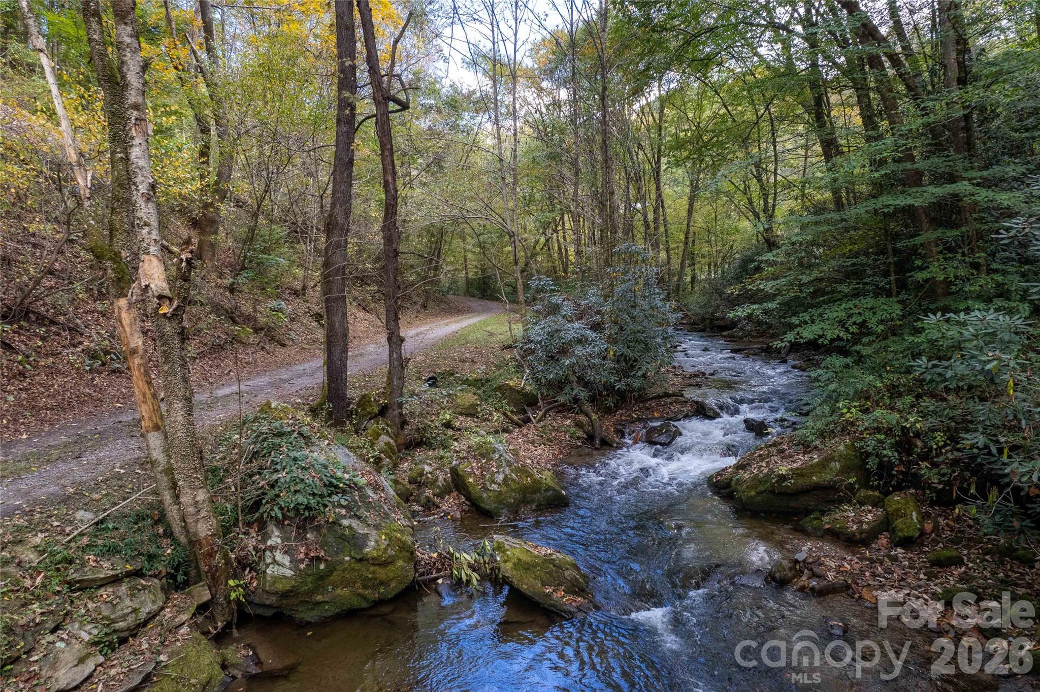 214 Chin Tree Road — Sylva