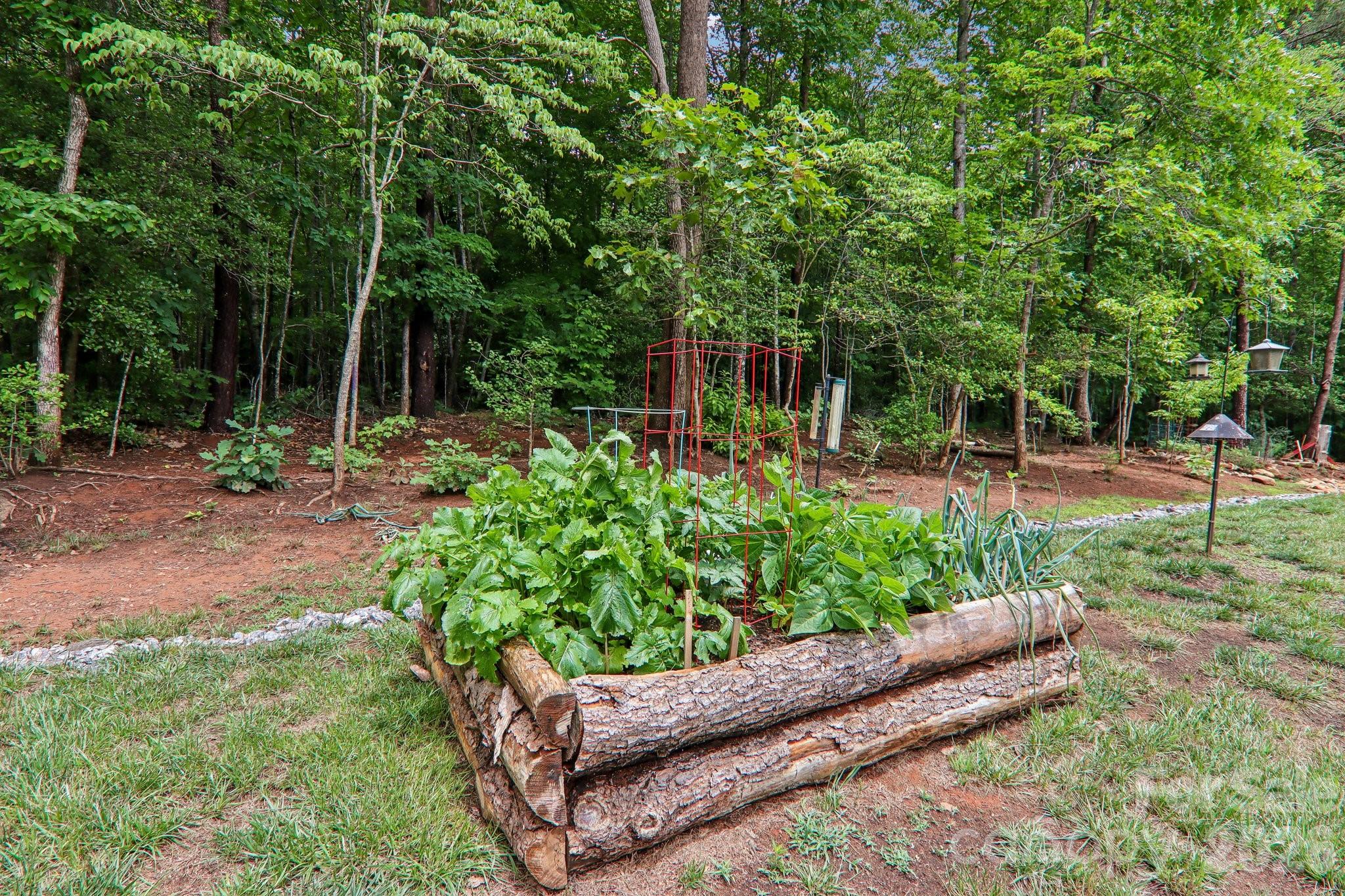 3131 Richard Street — Morganton