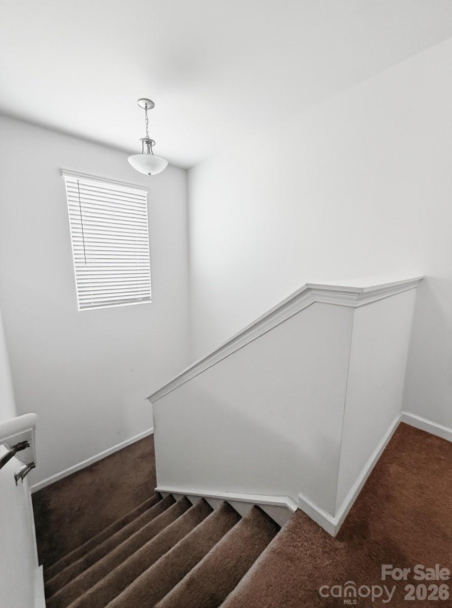 244 Amberly Circle — Pageland