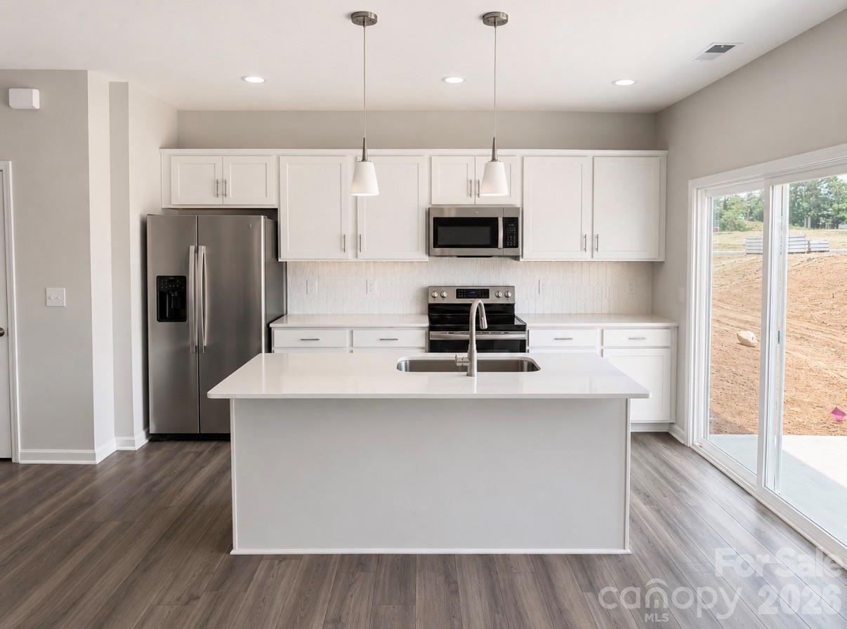 5816 Salamander Run Lane #43 — Charlotte