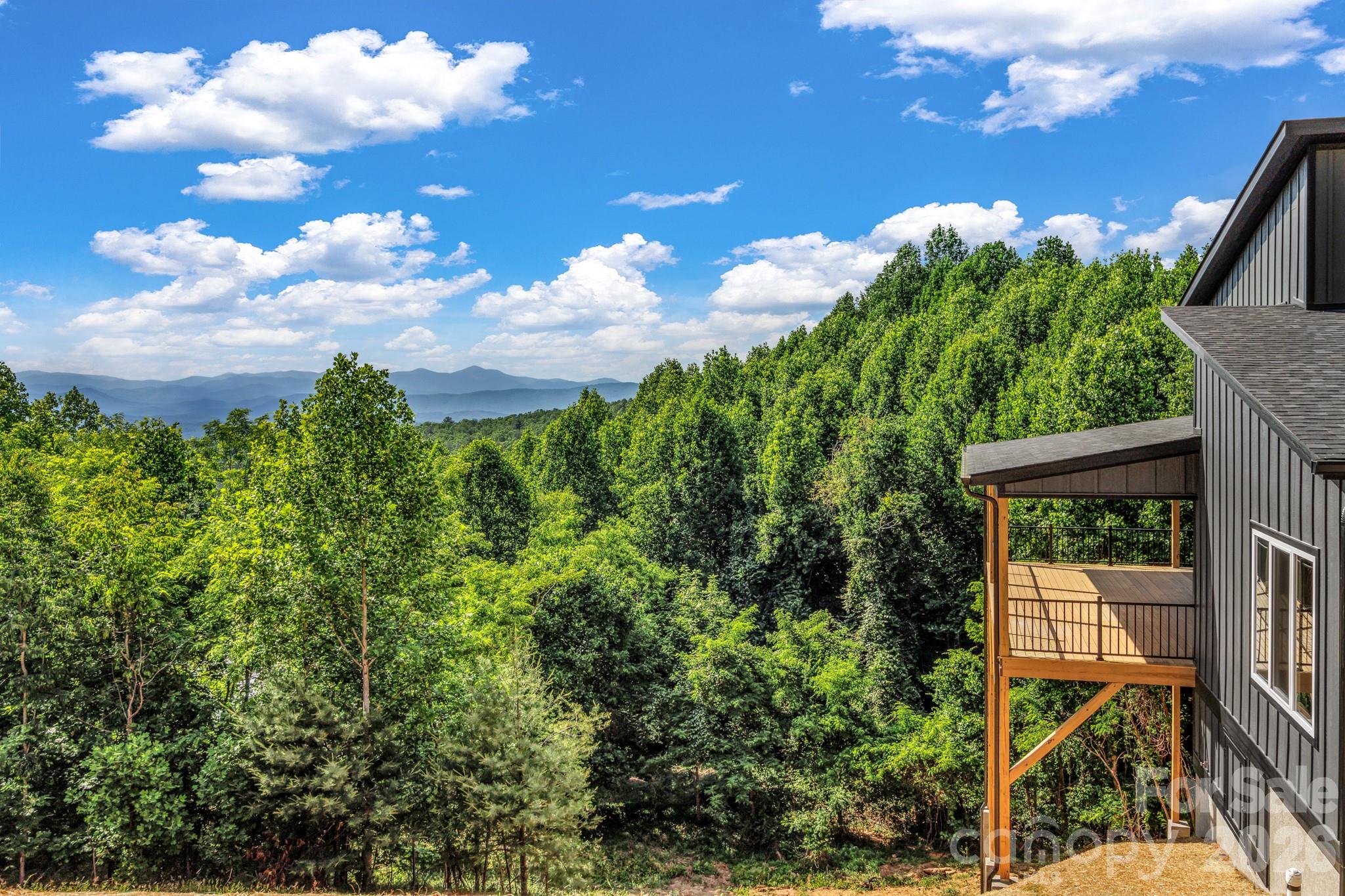 221 Coopers Drive — Hendersonville