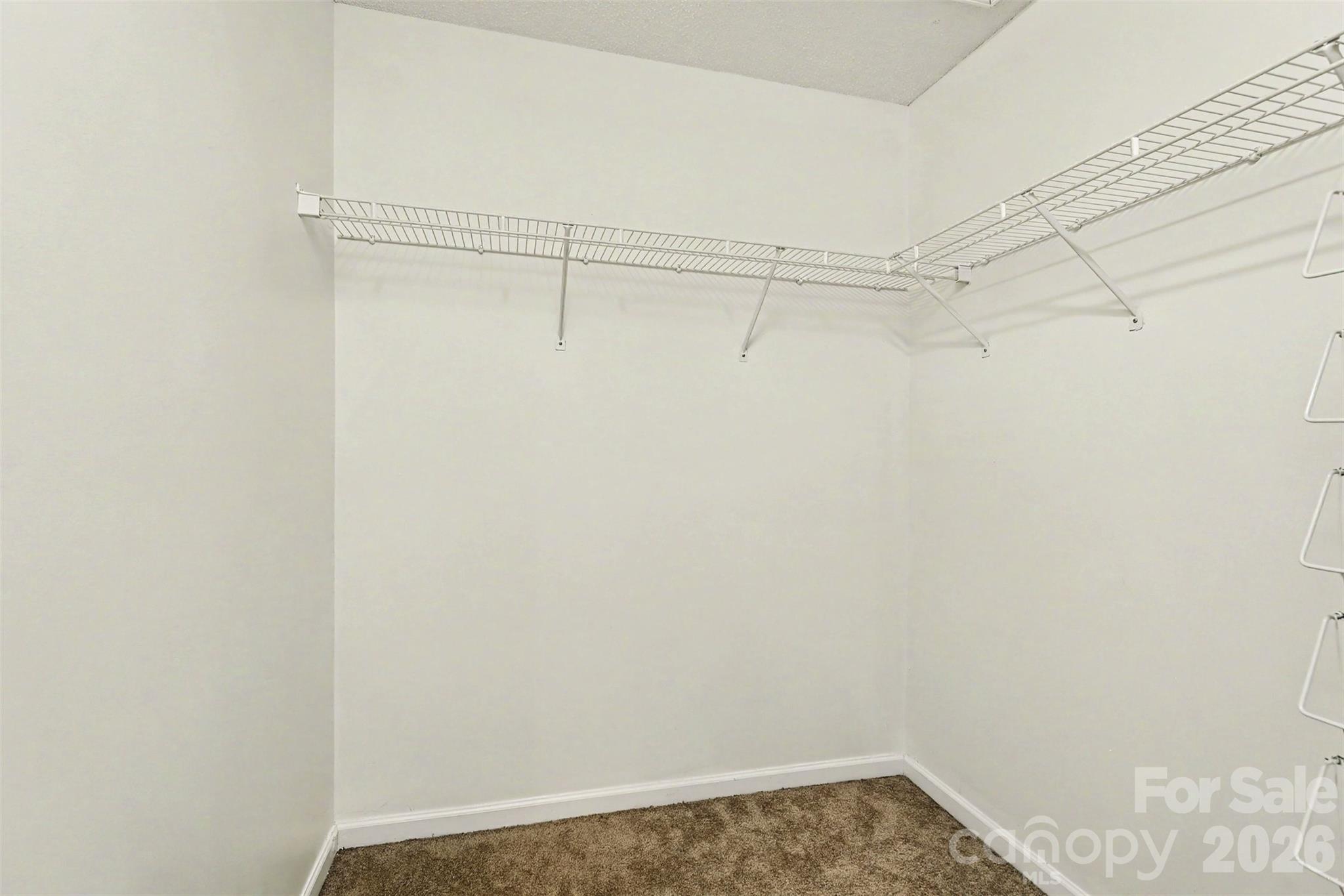 5833 Cougar Lane — Charlotte