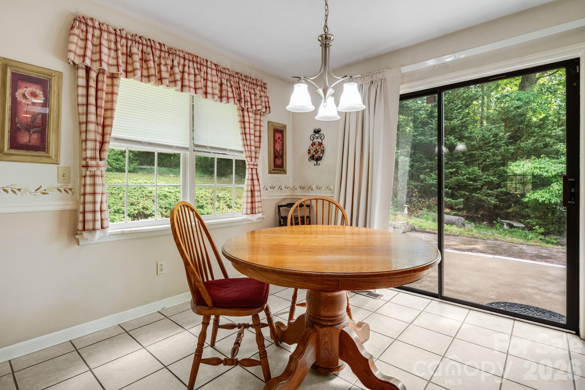 636 Goldview Drive — Hendersonville