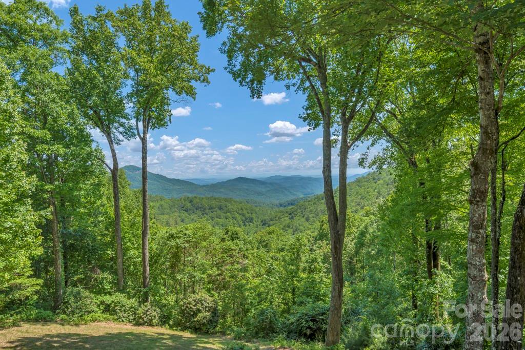 847 Old Orchard Road — Blowing Rock