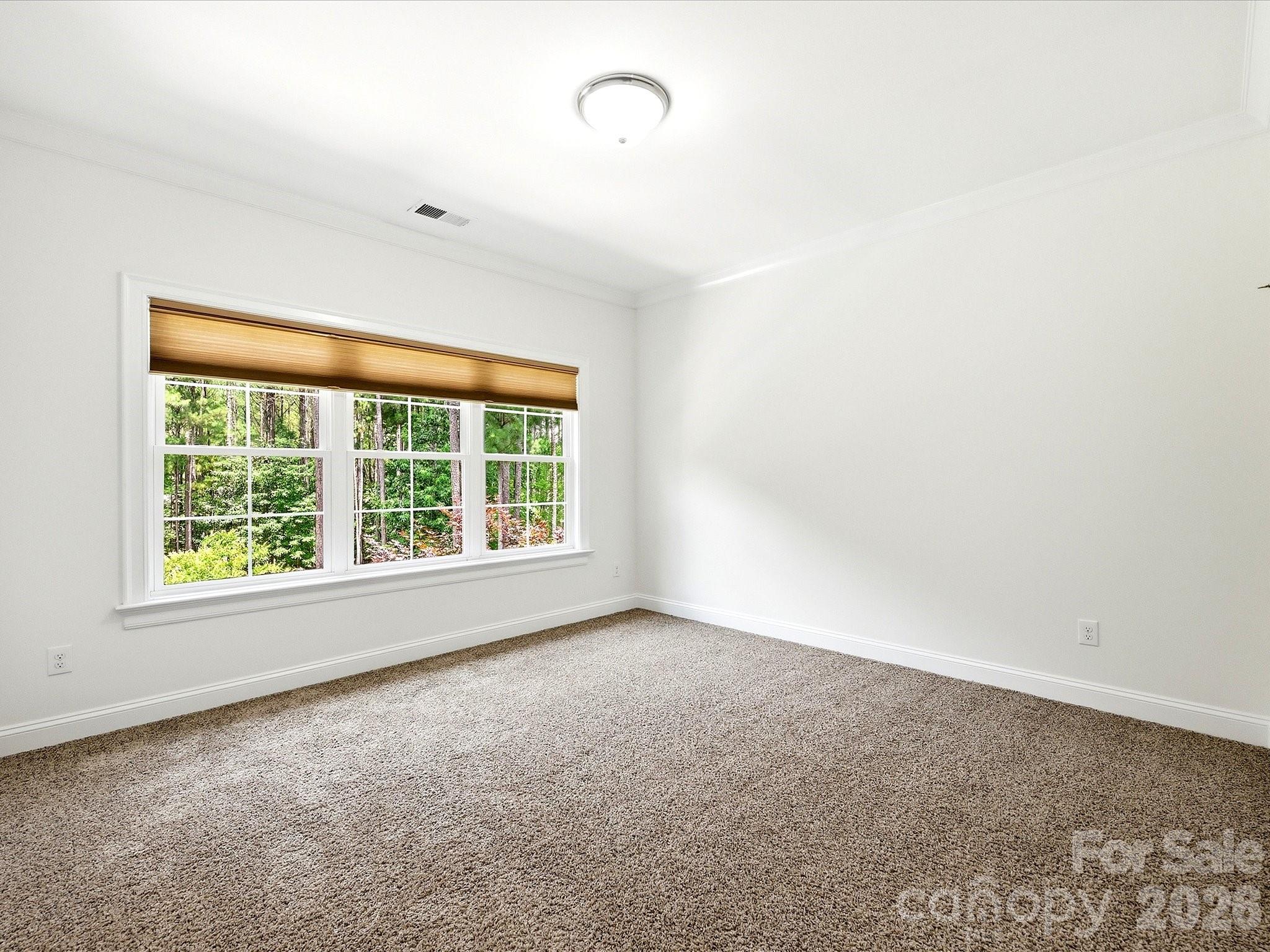 4063 Country Overlook Drive — Fort Mill