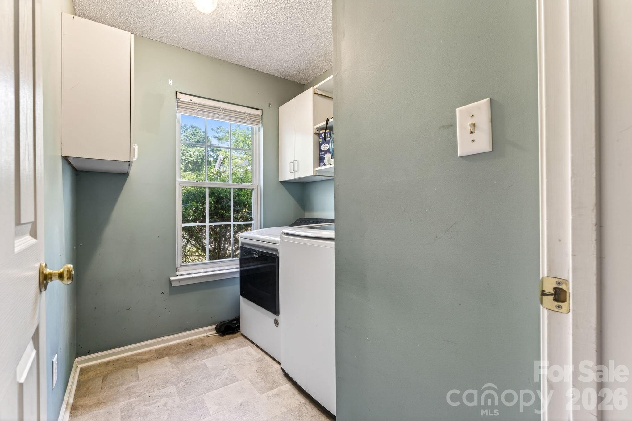 13908 Mcgloughlin Way Court — Charlotte