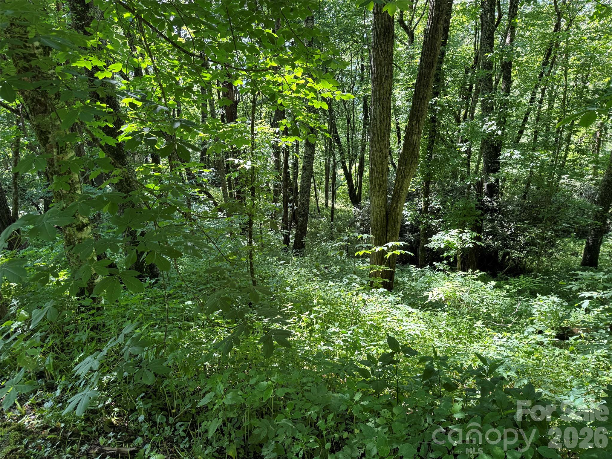 2085 Laurel Ridge N — Maggie Valley