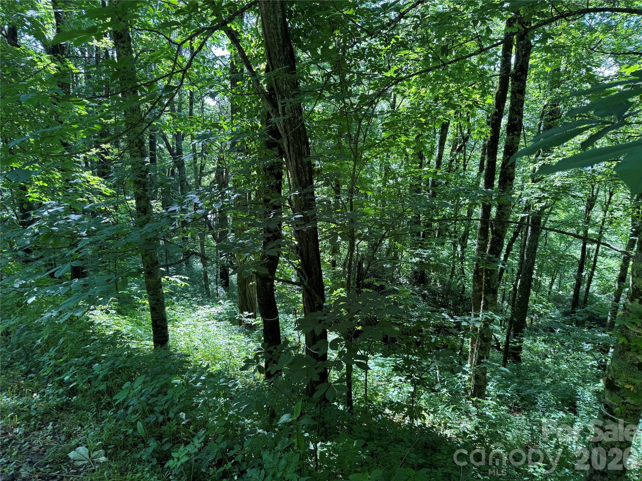 2085 Laurel Ridge N — Maggie Valley