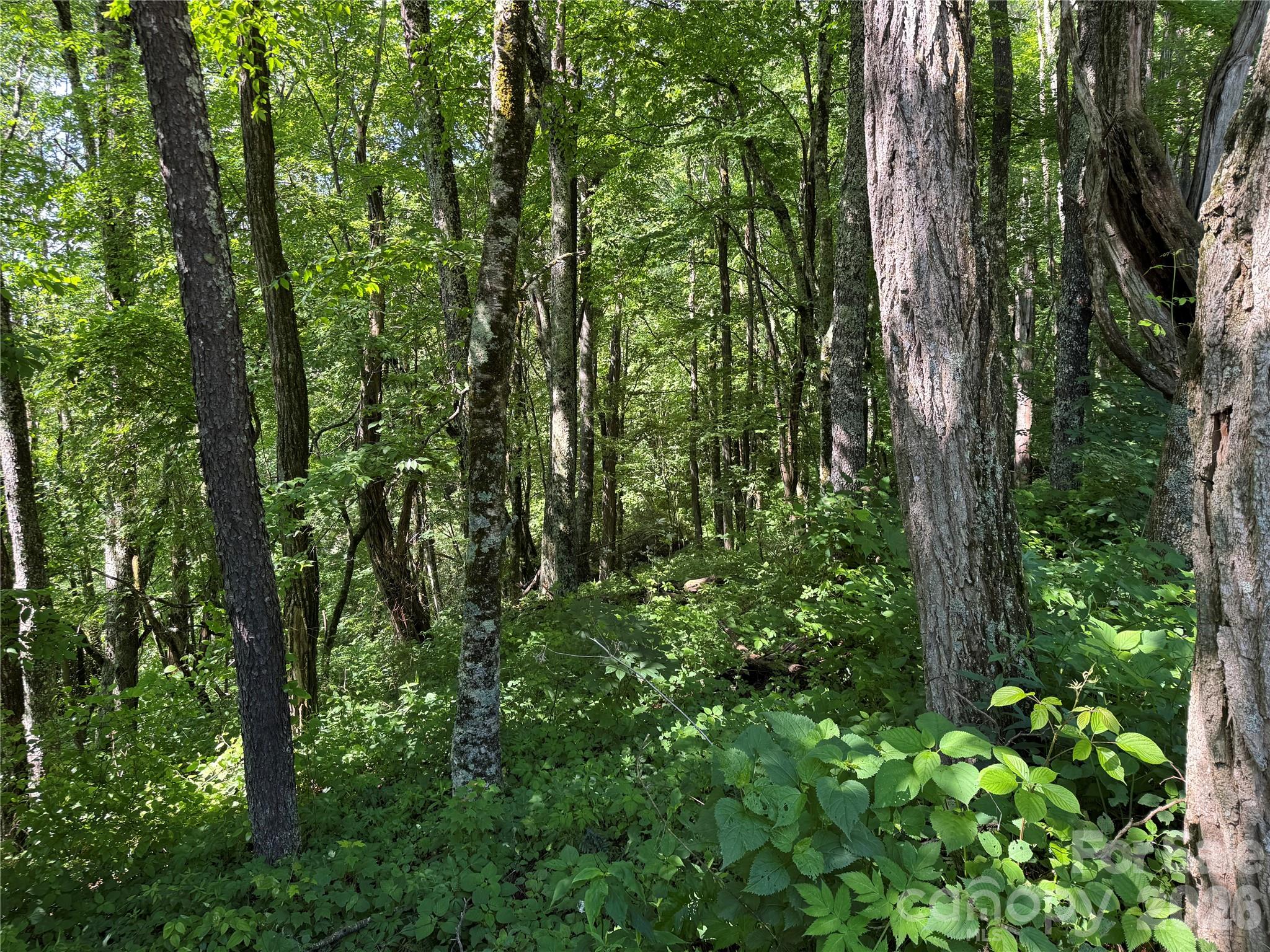 2085 Laurel Ridge N — Maggie Valley