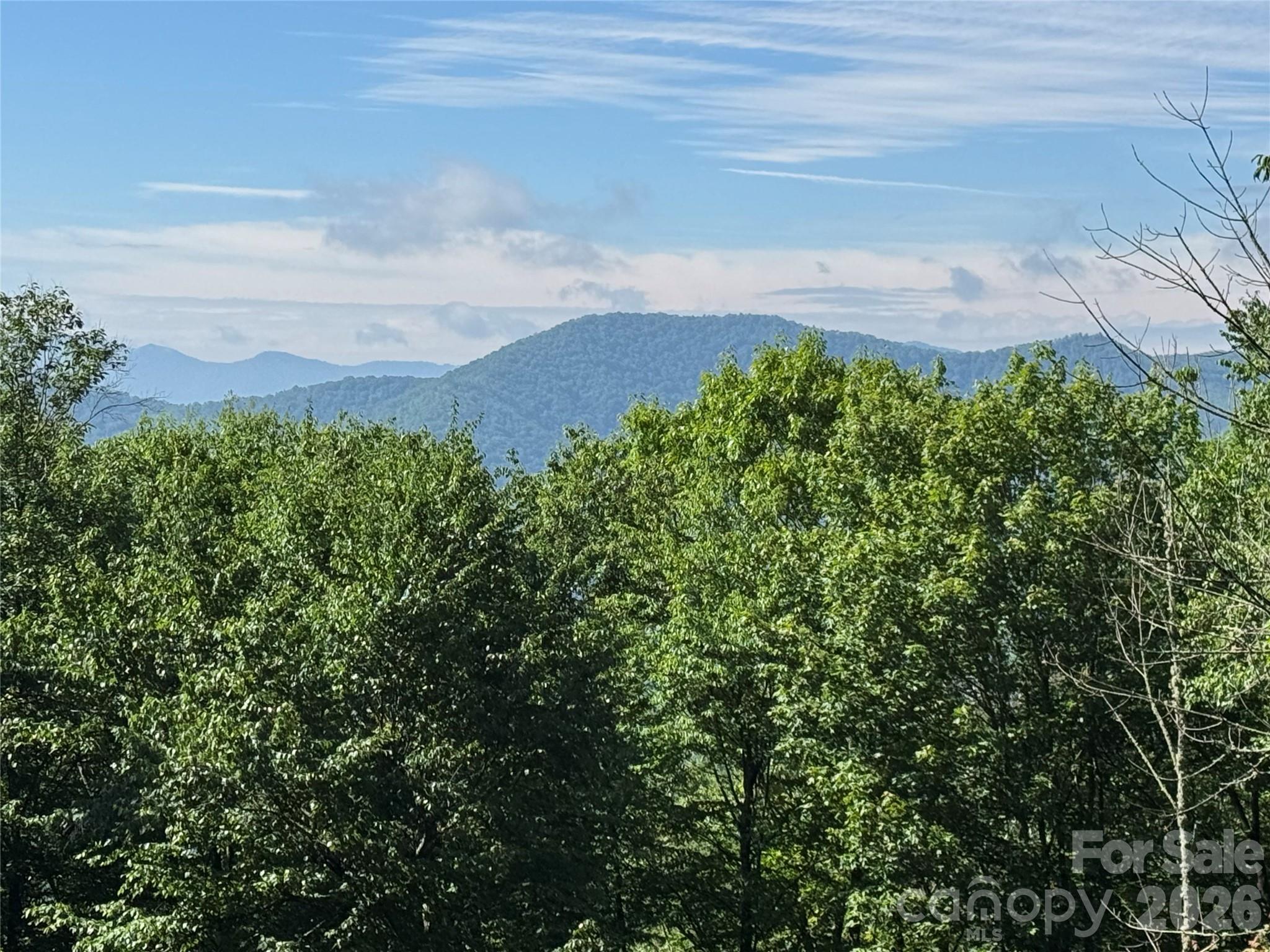 2085 Laurel Ridge N — Maggie Valley