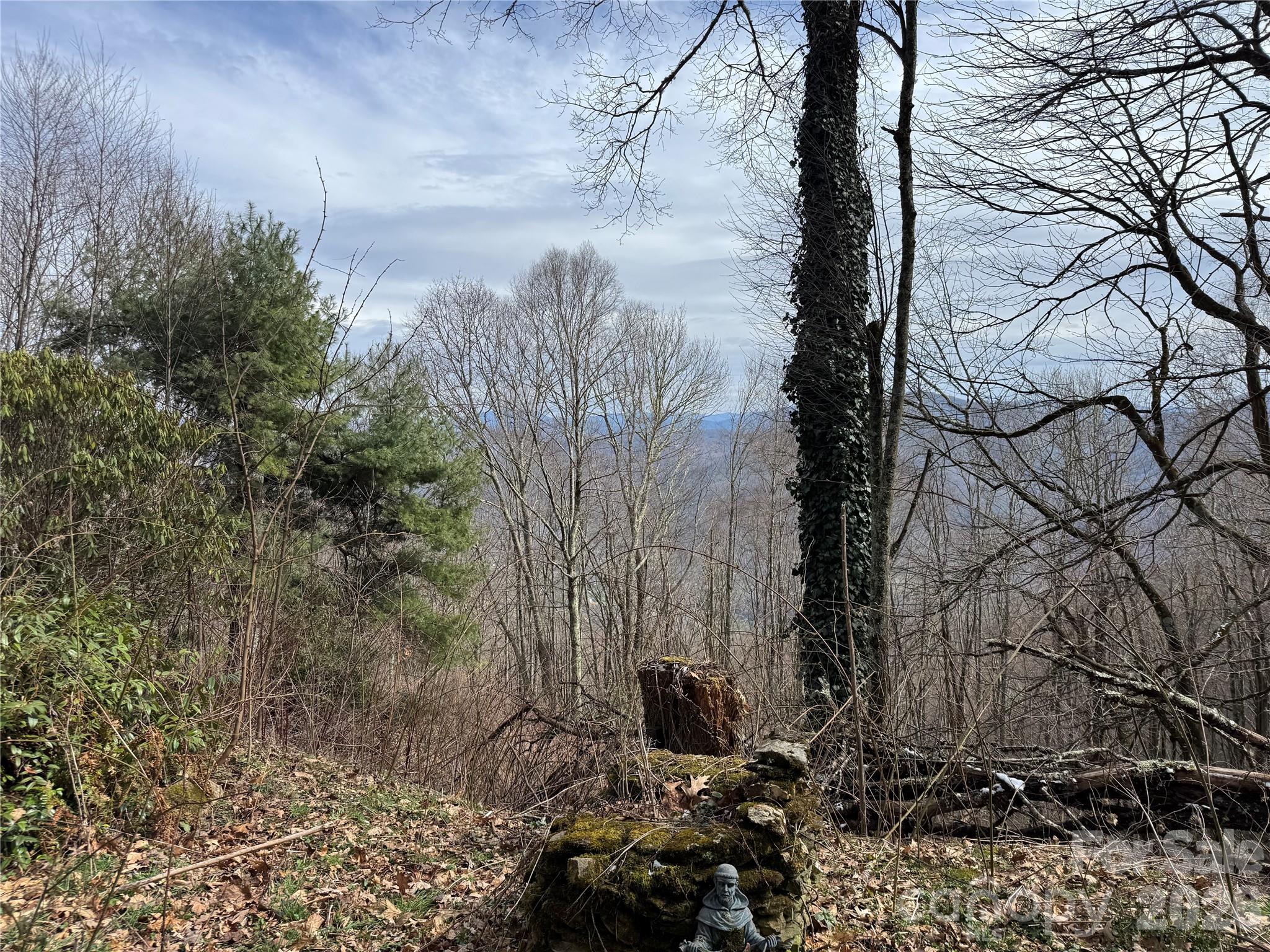 2085 Laurel Ridge N — Maggie Valley
