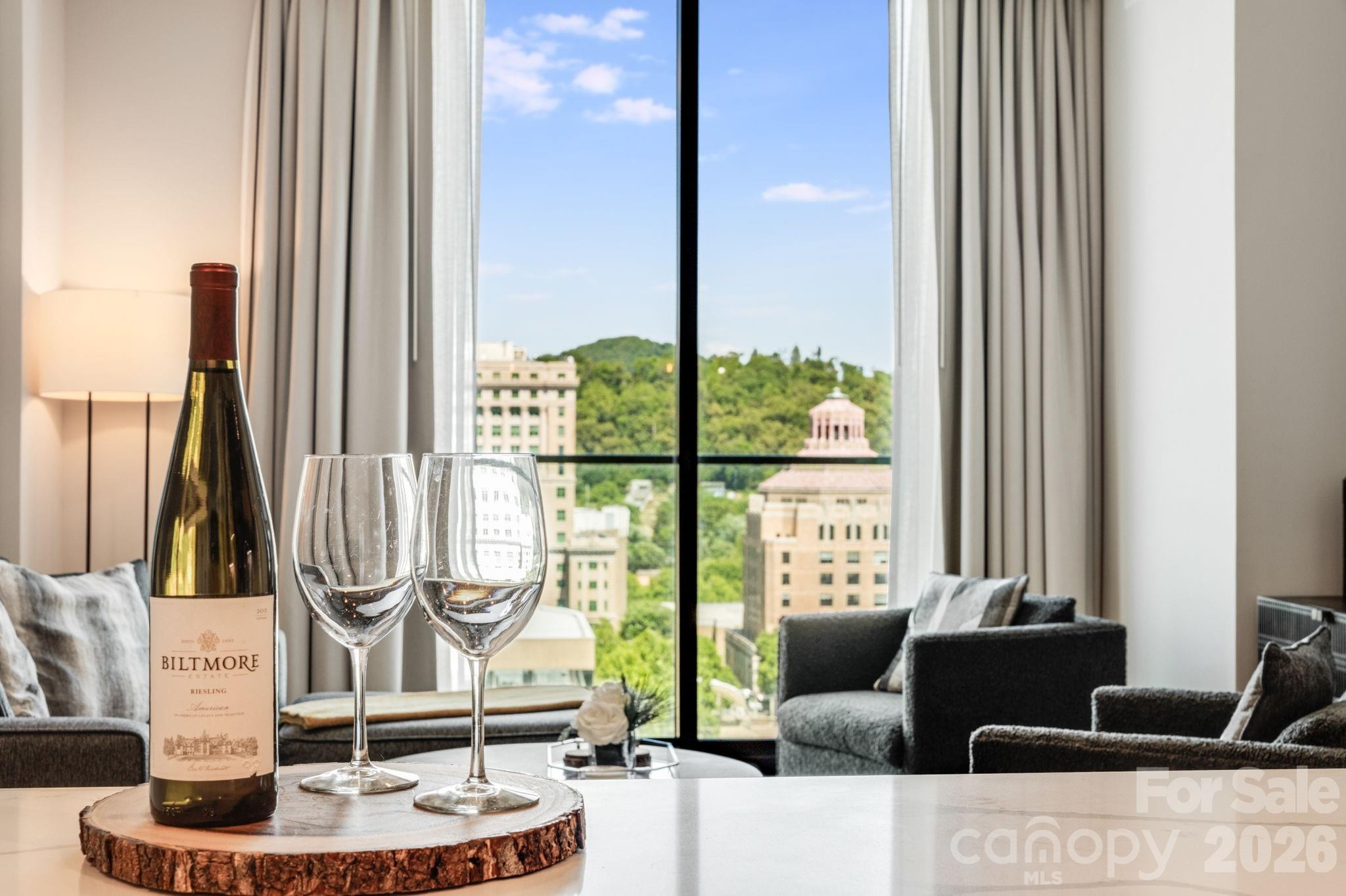 7 Patton Avenue #1006 — Asheville