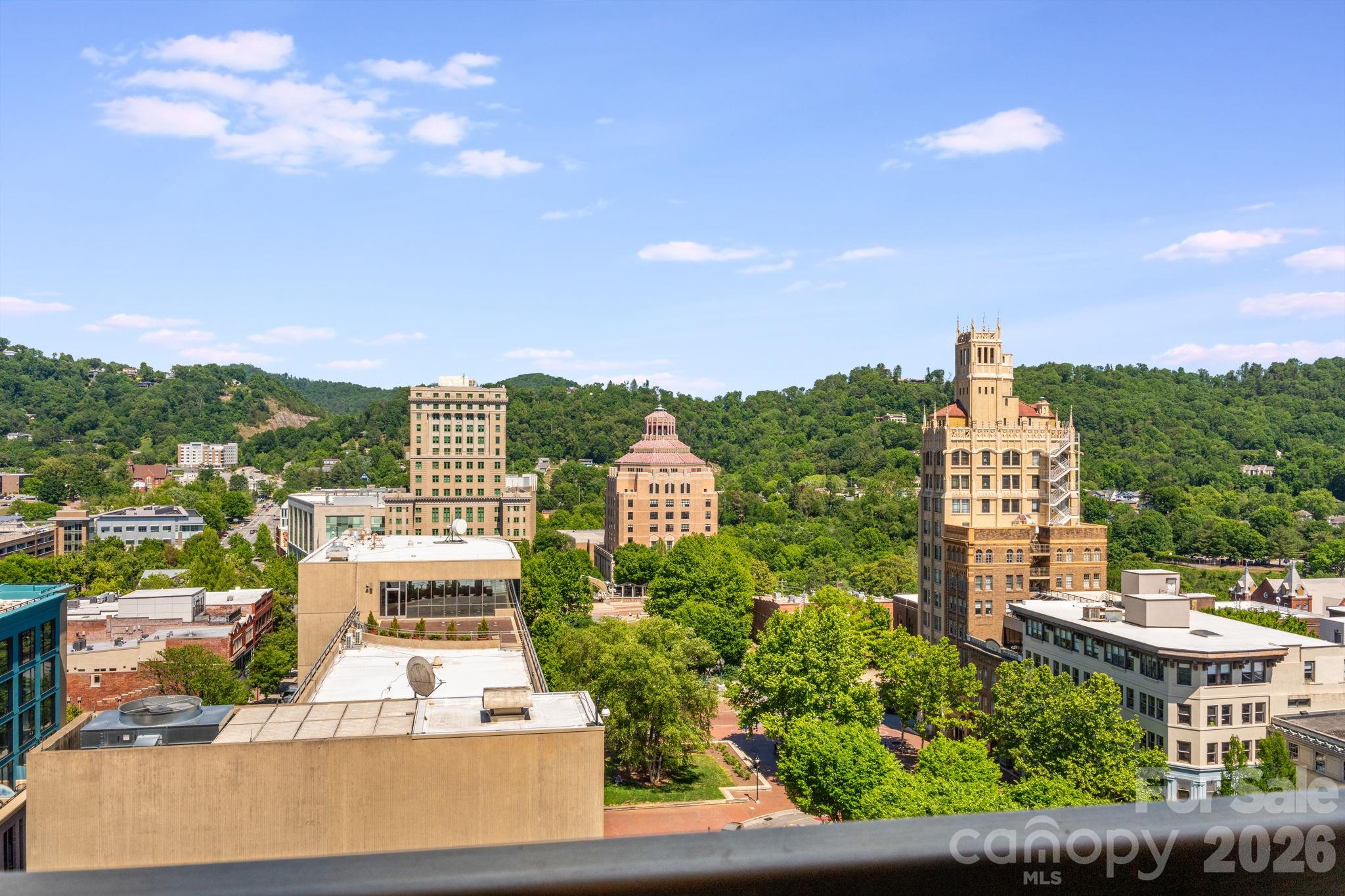 7 Patton Avenue #1006 — Asheville