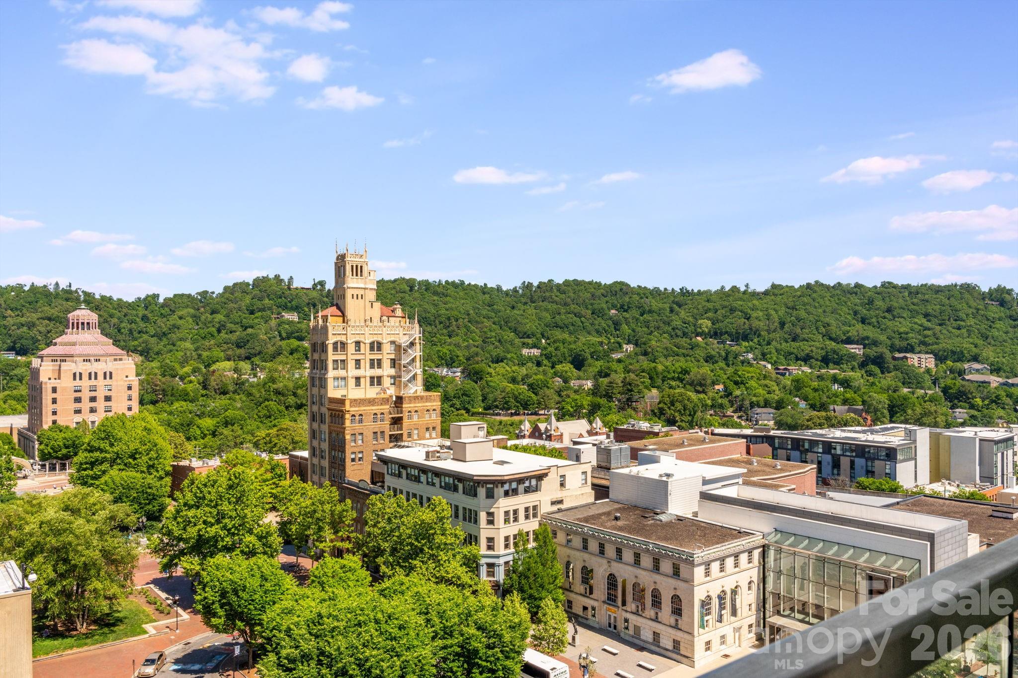 7 Patton Avenue #1006 — Asheville