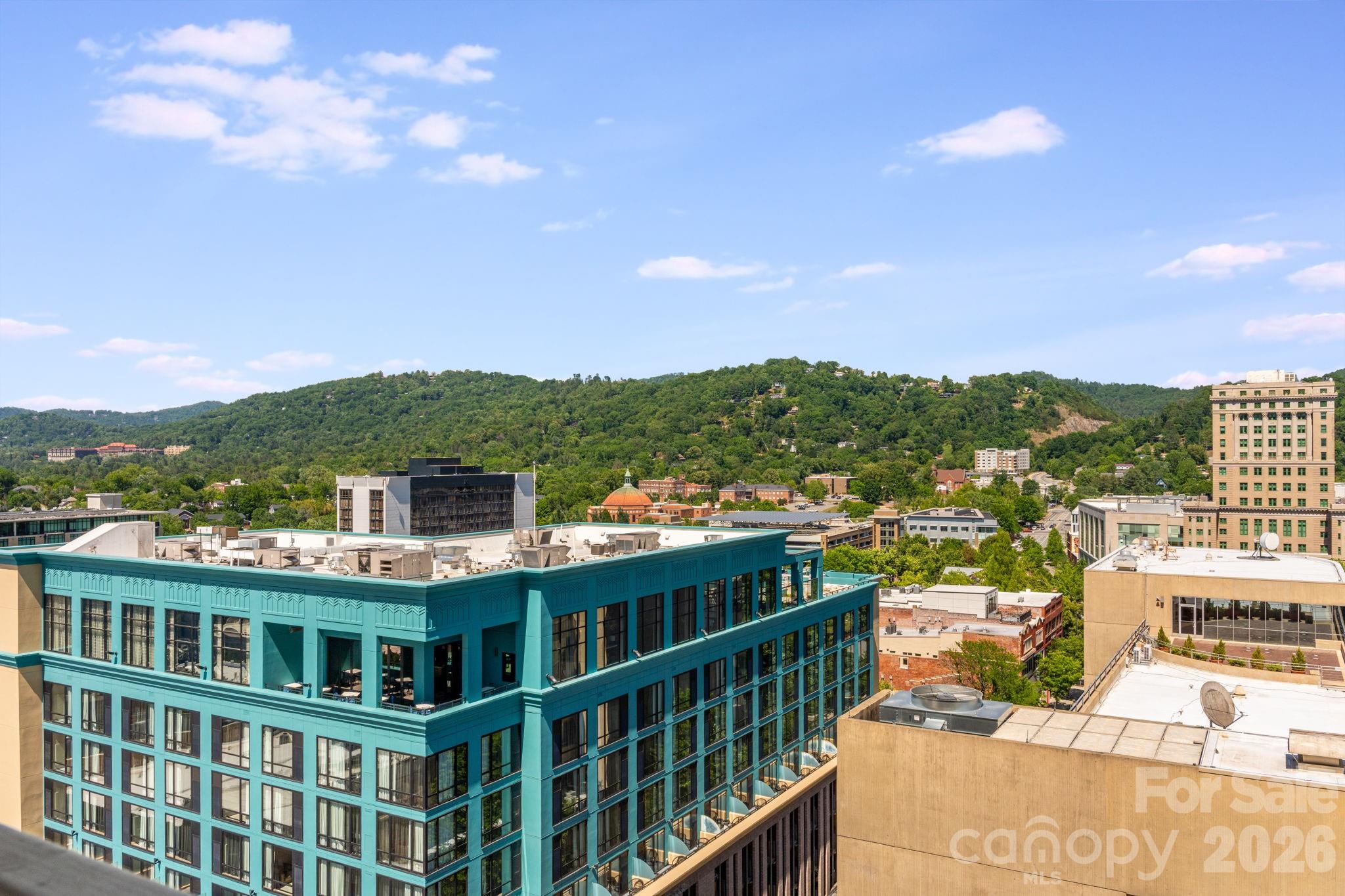 7 Patton Avenue #1006 — Asheville