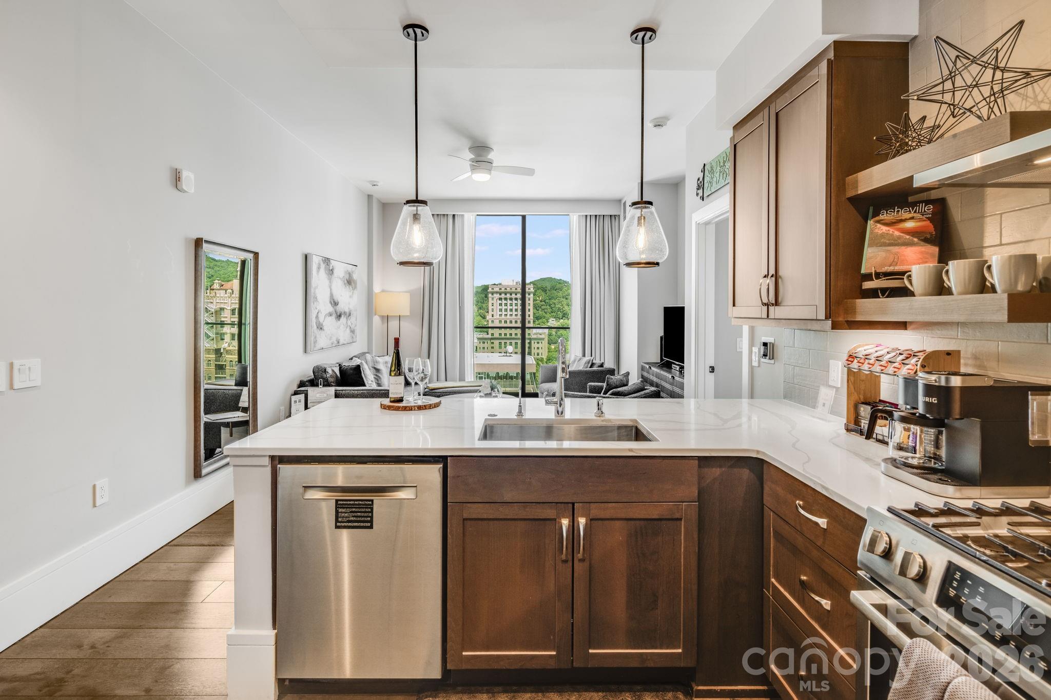 7 Patton Avenue #1006 — Asheville