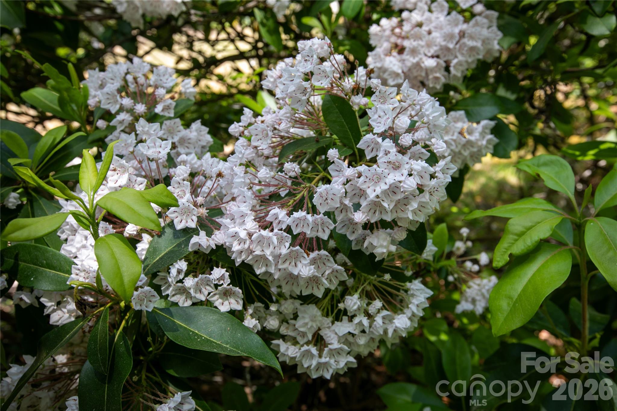94 Sweetwater Lane — Pisgah Forest