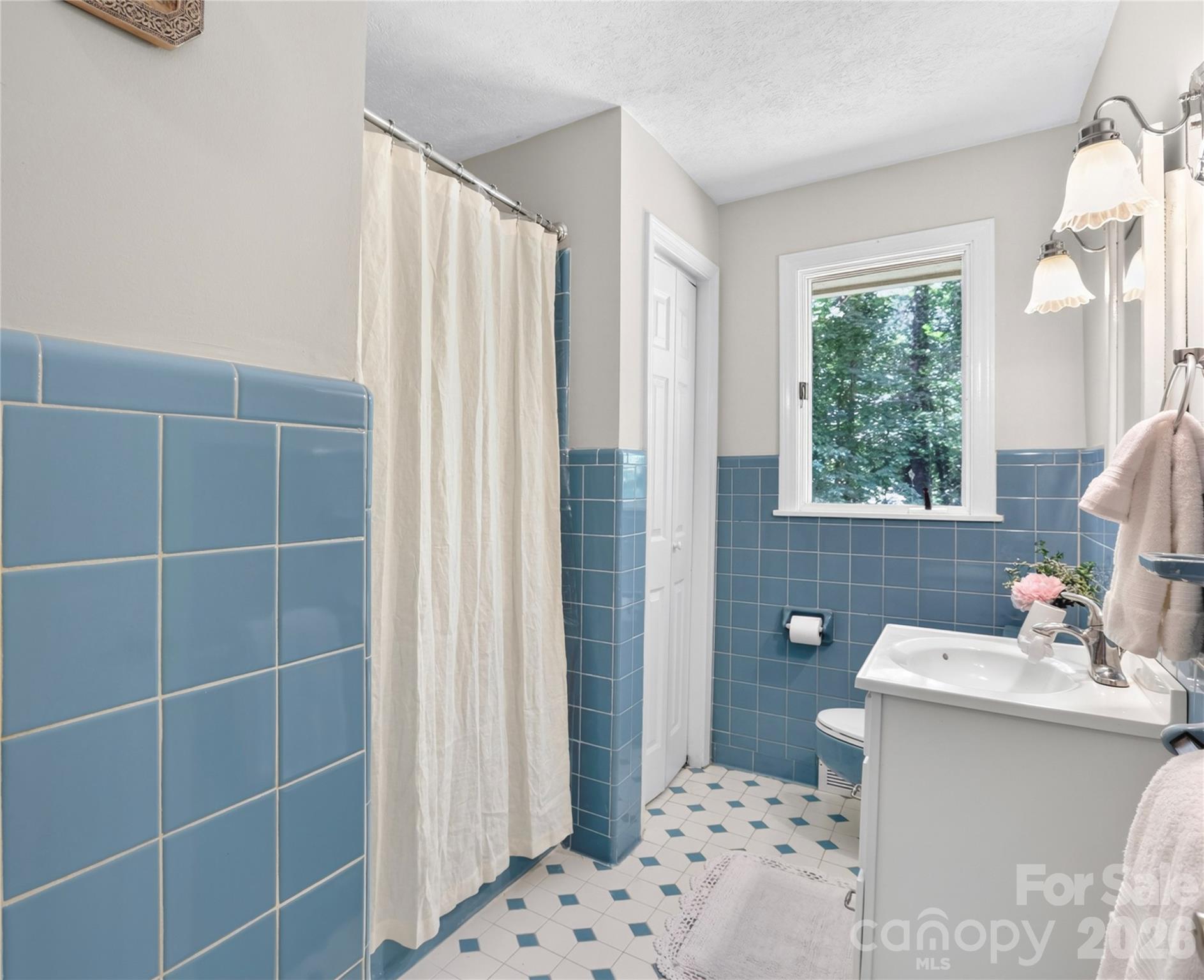 711 Oak Terrace Lane — Hendersonville