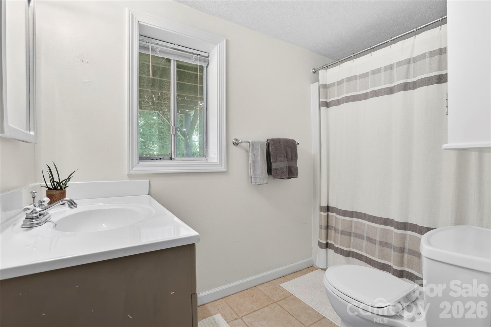 711 Oak Terrace Lane — Hendersonville