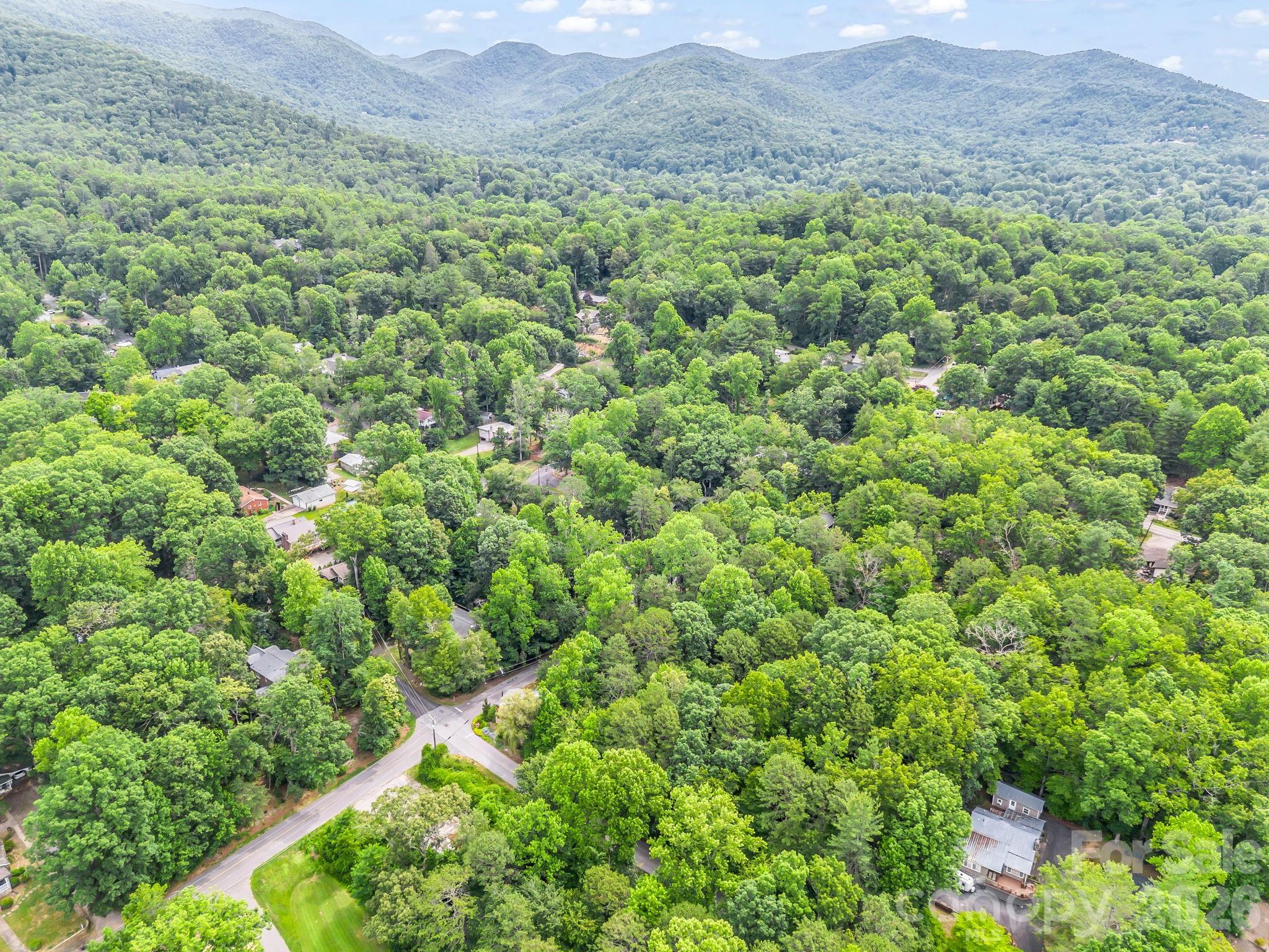 701 Azalea Avenue — Black Mountain