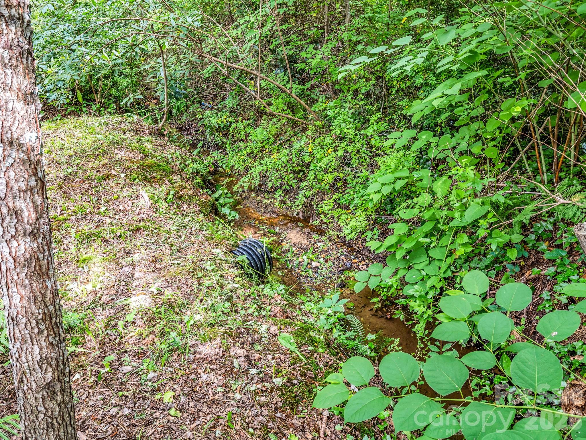 701 Azalea Avenue — Black Mountain