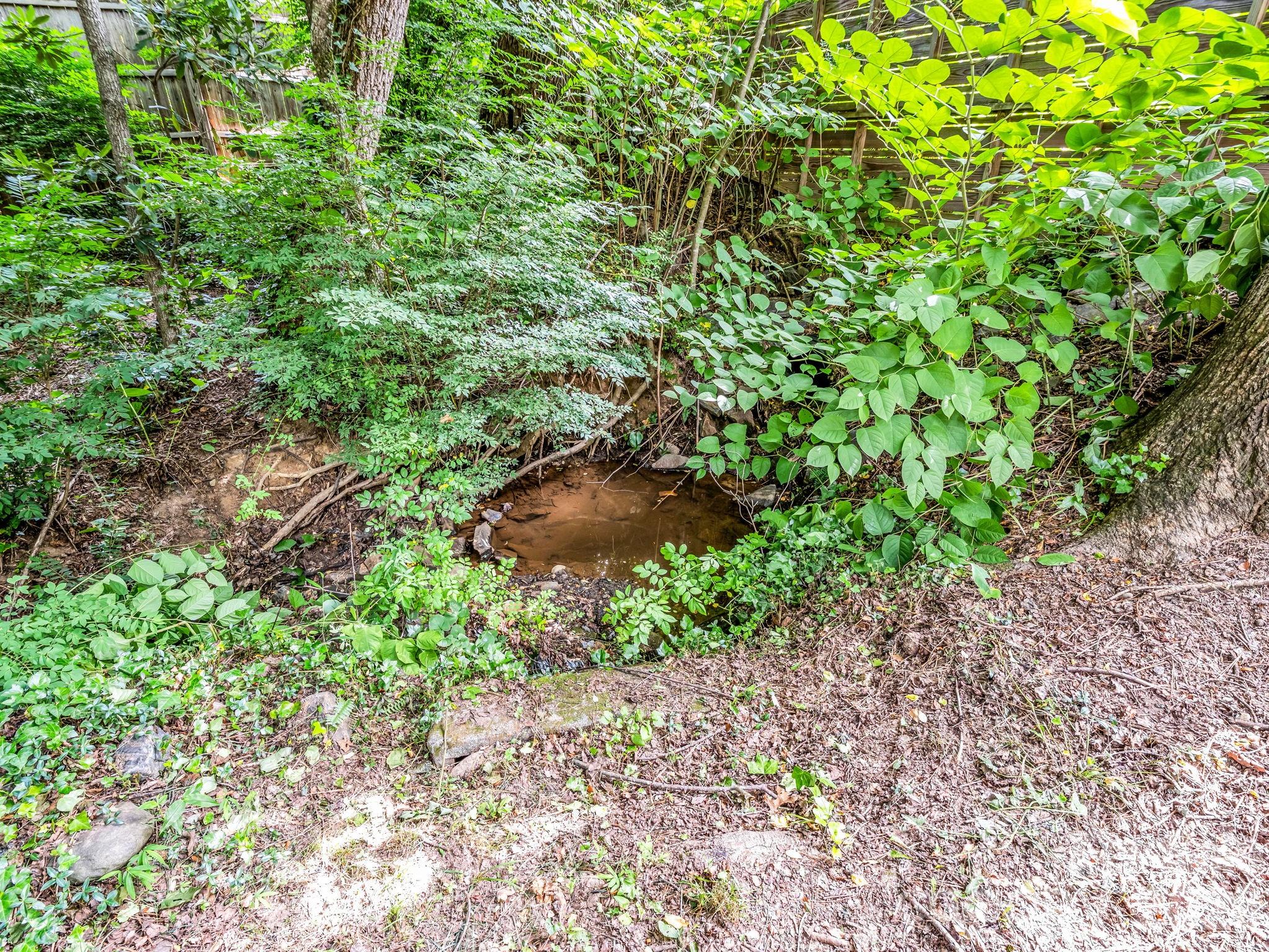 701 Azalea Avenue — Black Mountain