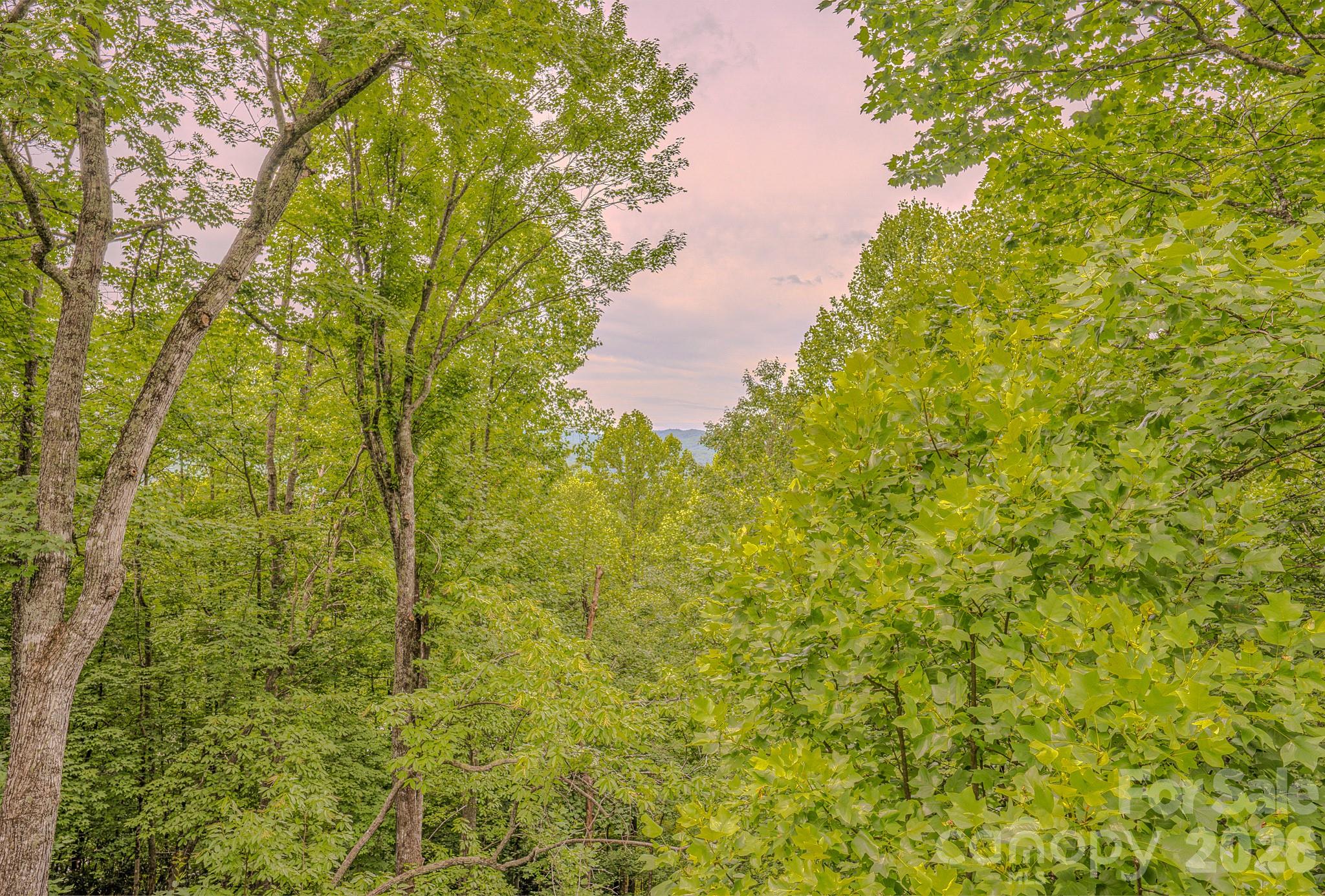 329 Mountain Crest Drive — Hendersonville