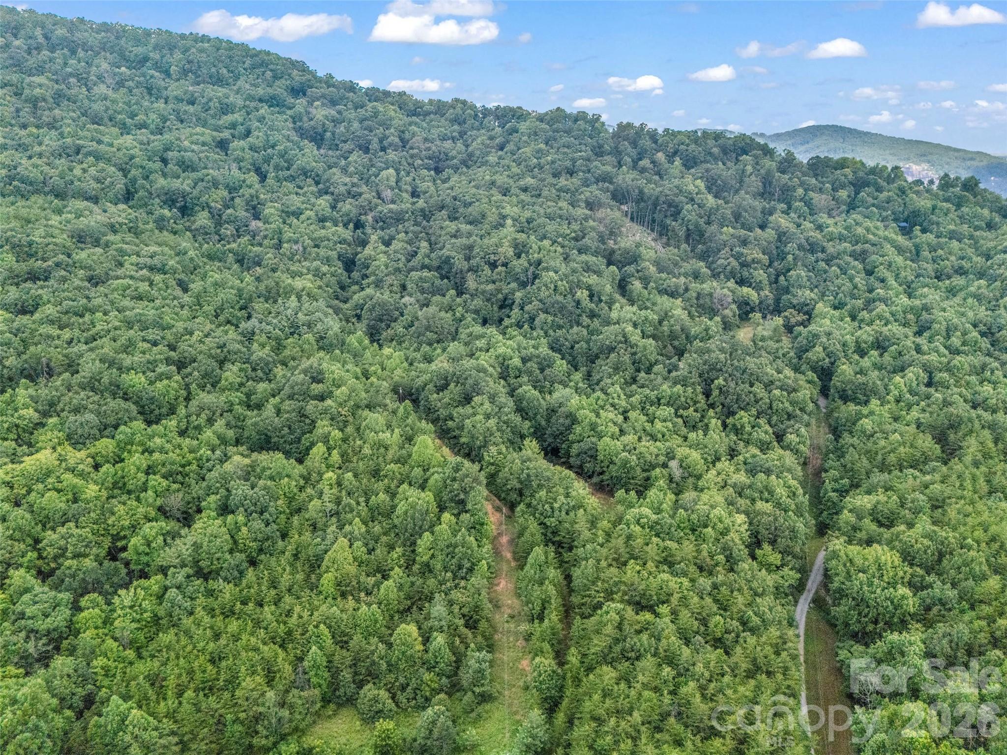 479 Camp Hill Road — Mill Spring