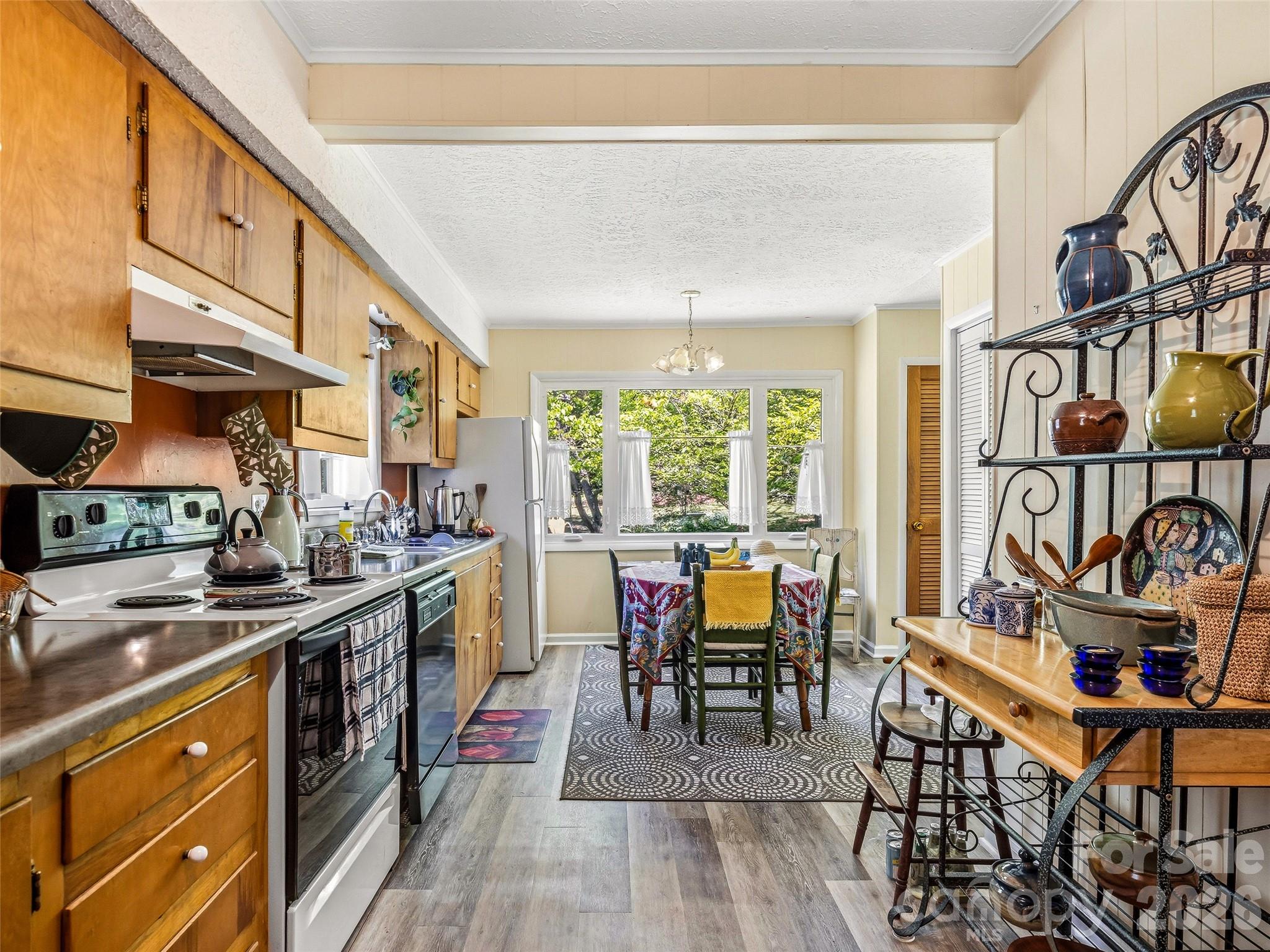 28 Canterbury Road — Asheville