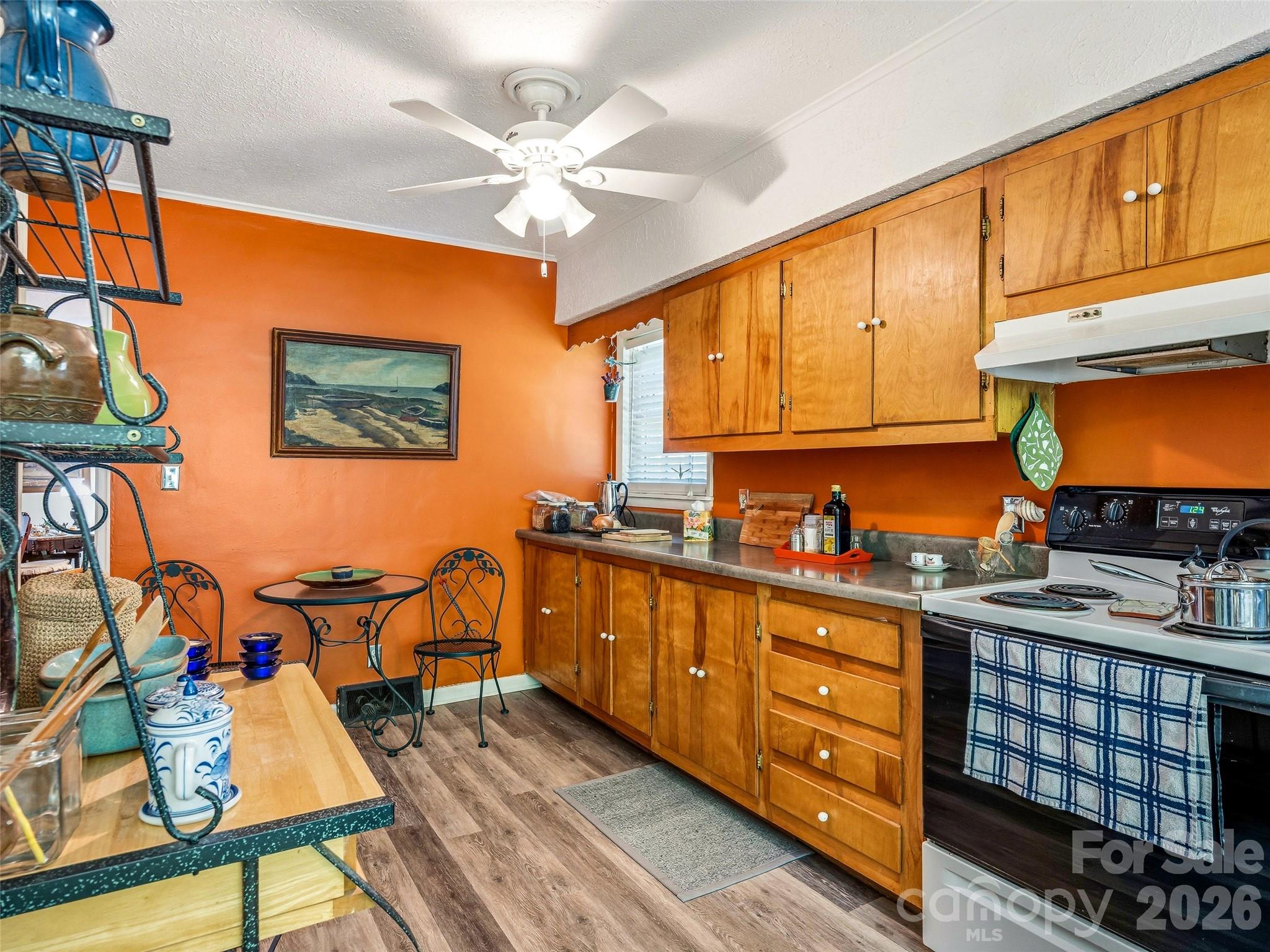28 Canterbury Road — Asheville
