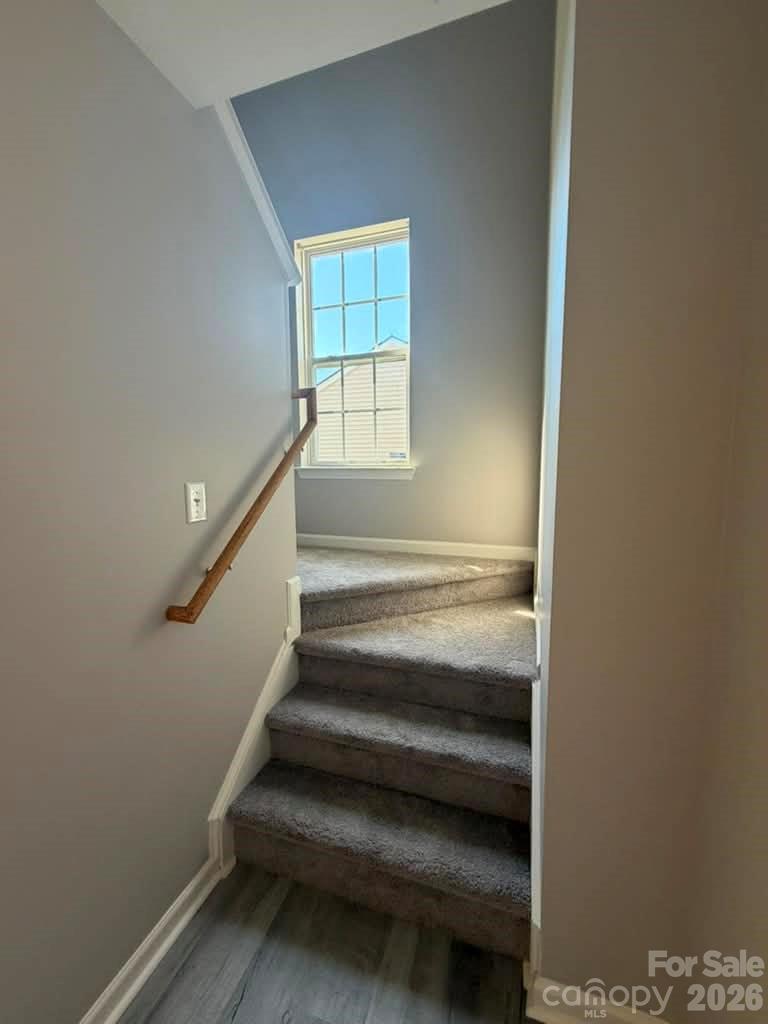 8207 Belmont Stables Drive — Charlotte