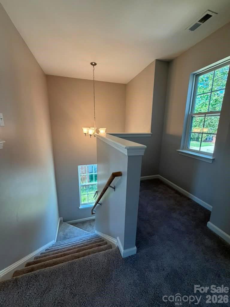 8207 Belmont Stables Drive — Charlotte