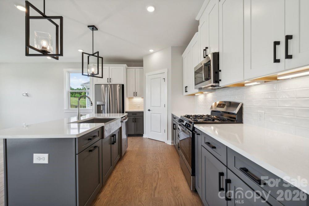 18419 Cove Landing Road — Charlotte
