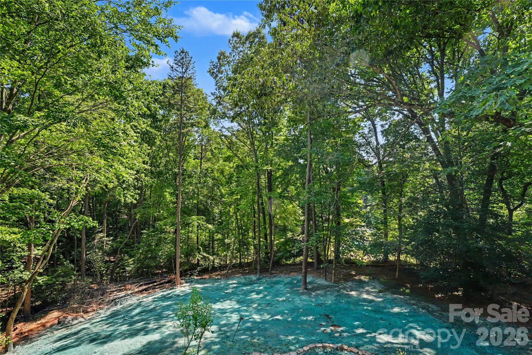 241 Spring Shore Road — Statesville