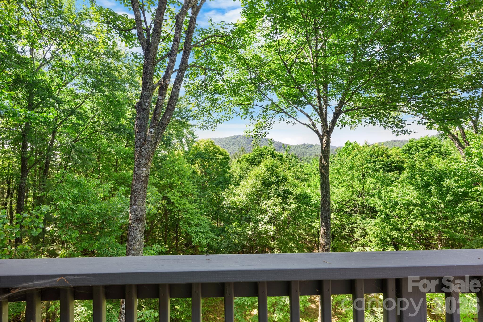 147 Club Colony Lane — Lake Toxaway
