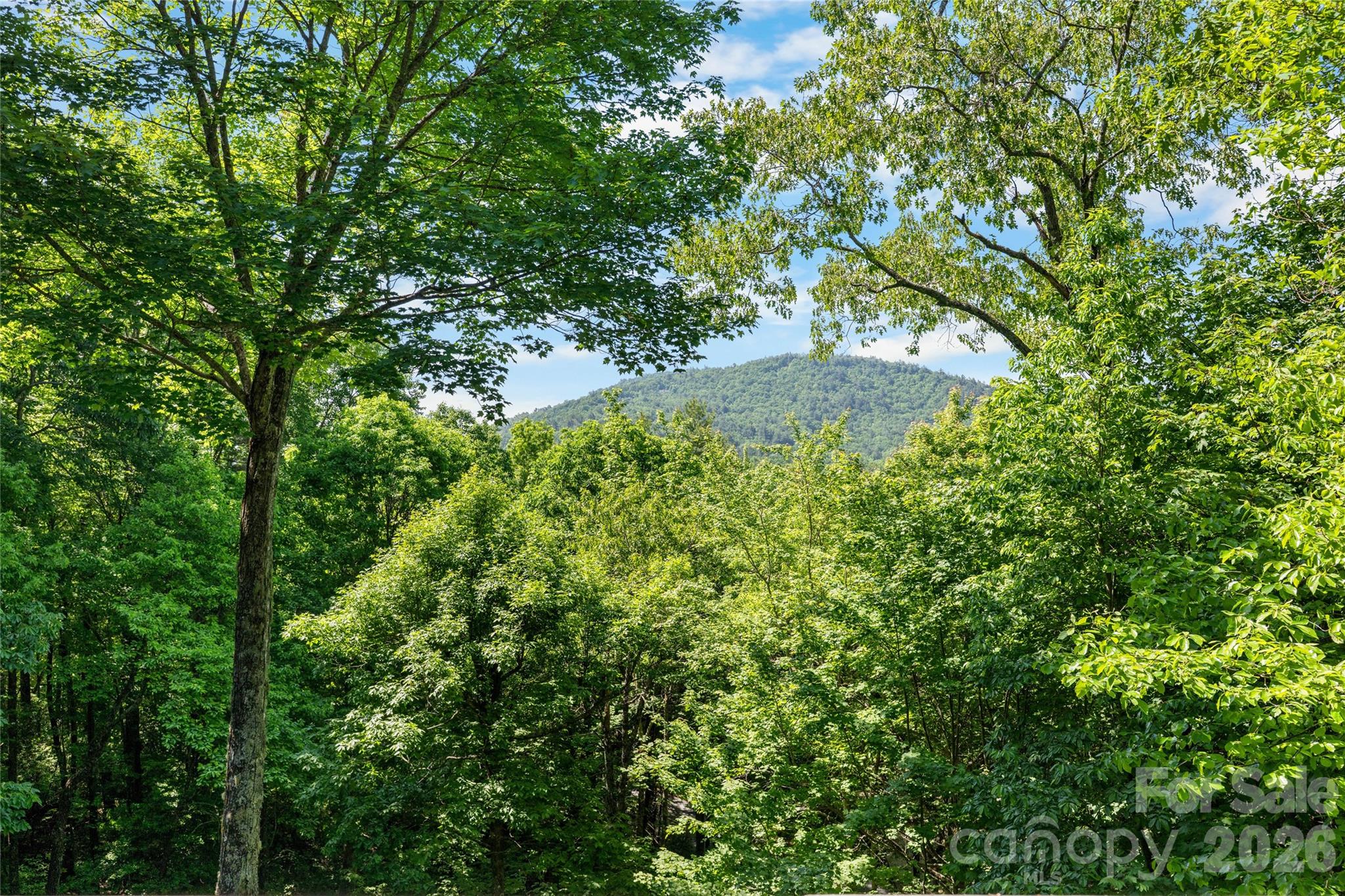 147 Club Colony Lane — Lake Toxaway
