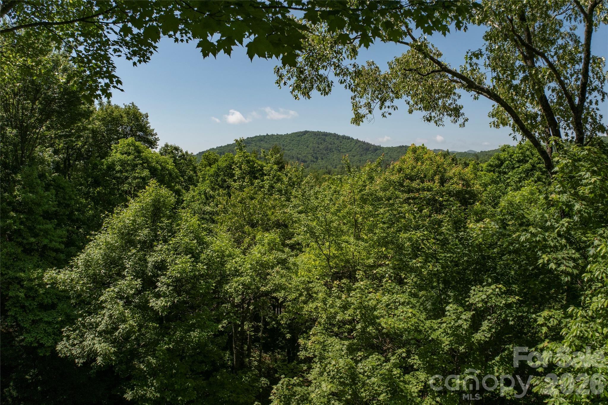 147 Club Colony Lane — Lake Toxaway