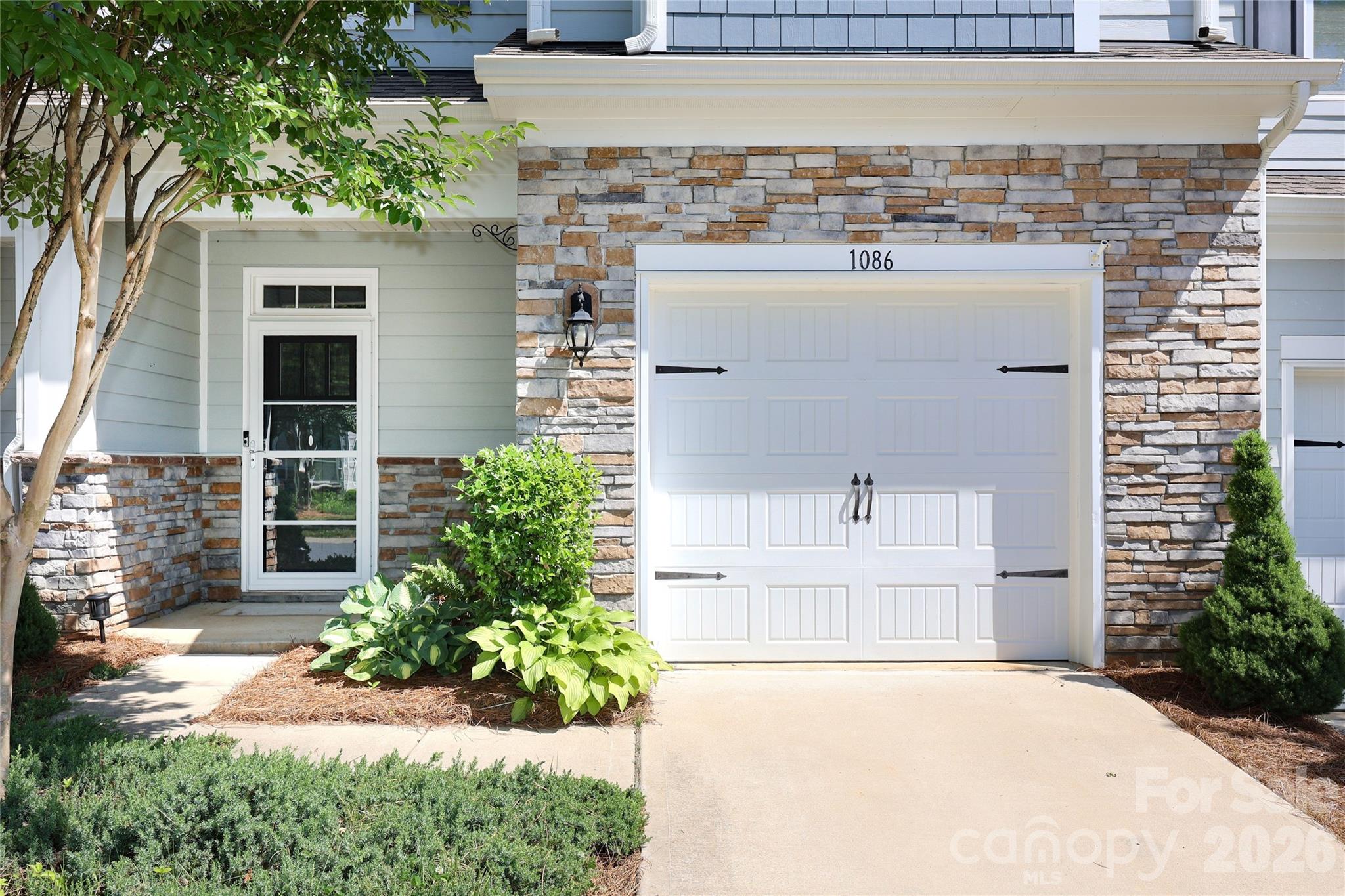 1086 Chicory Trace — Clover