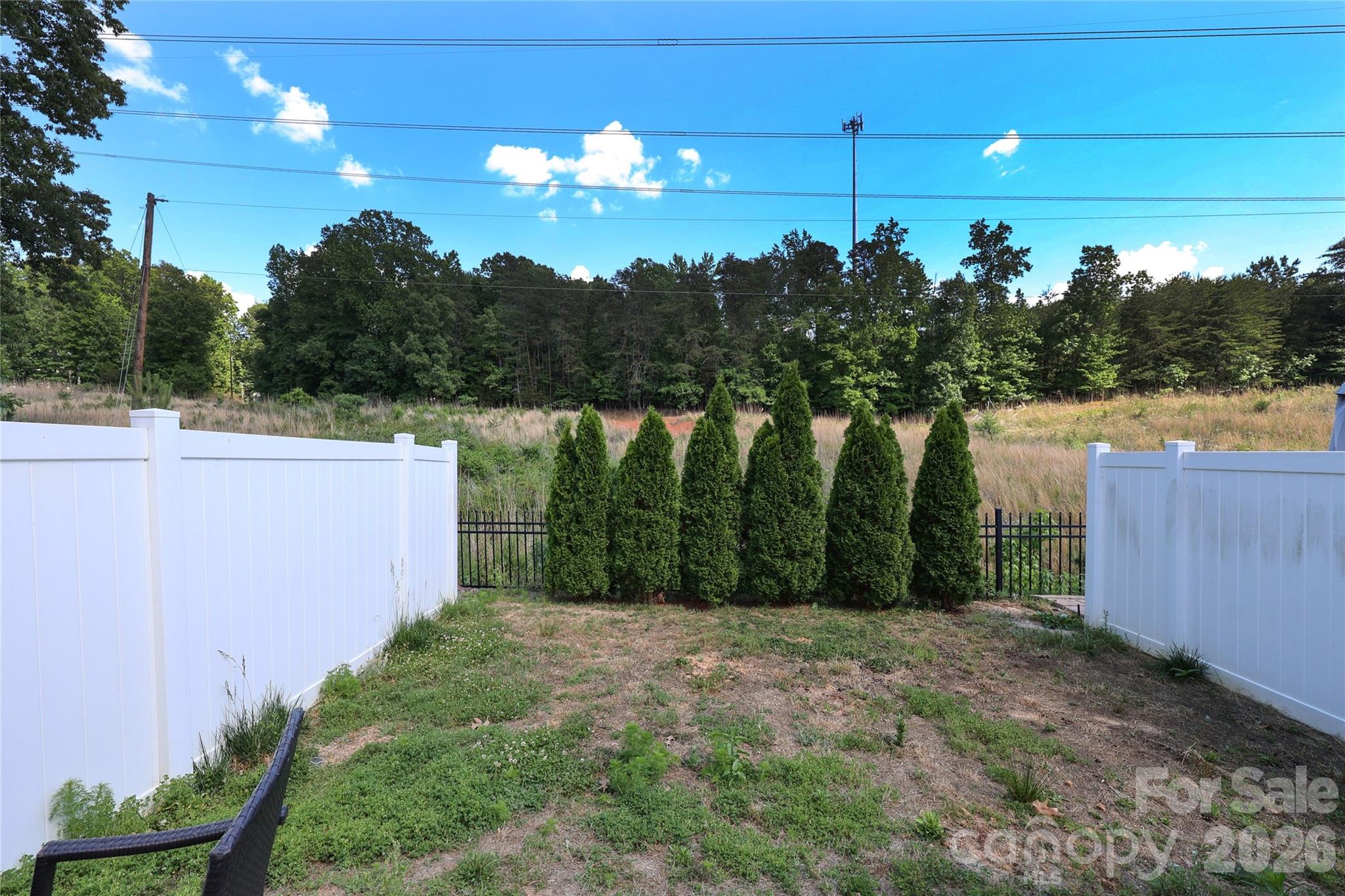 1086 Chicory Trace — Clover