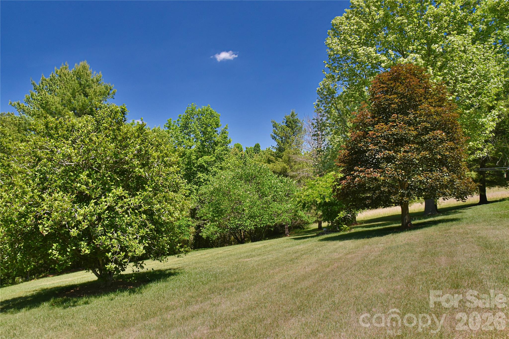 518 Forest Ridge Drive — Mars Hill