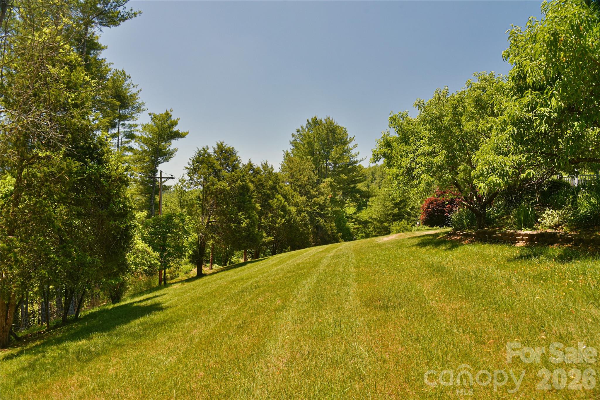 518 Forest Ridge Drive — Mars Hill