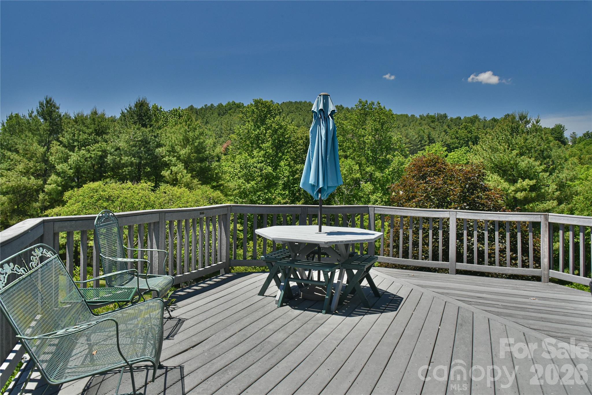 518 Forest Ridge Drive — Mars Hill