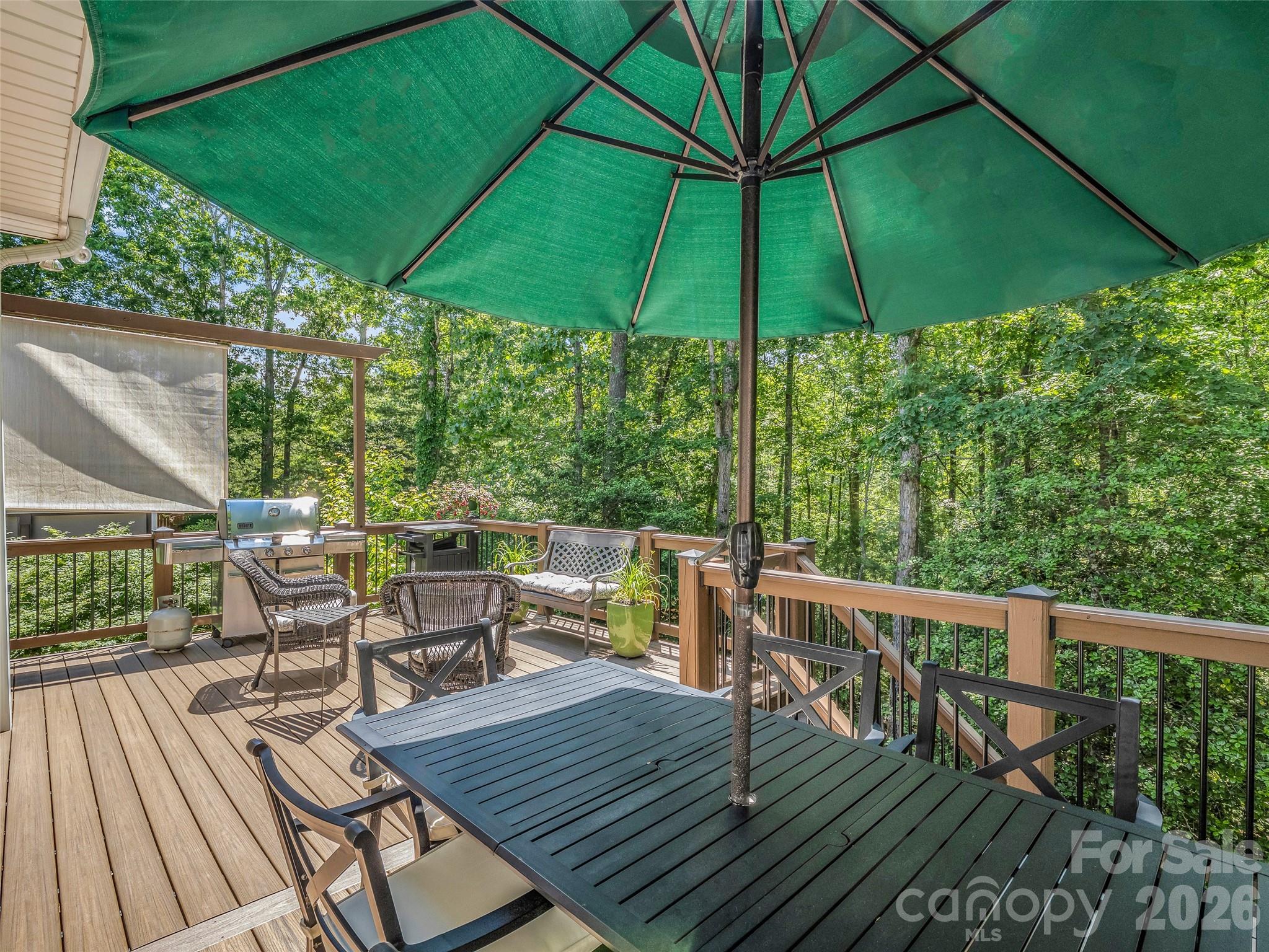 1042 Columbine Road — Asheville